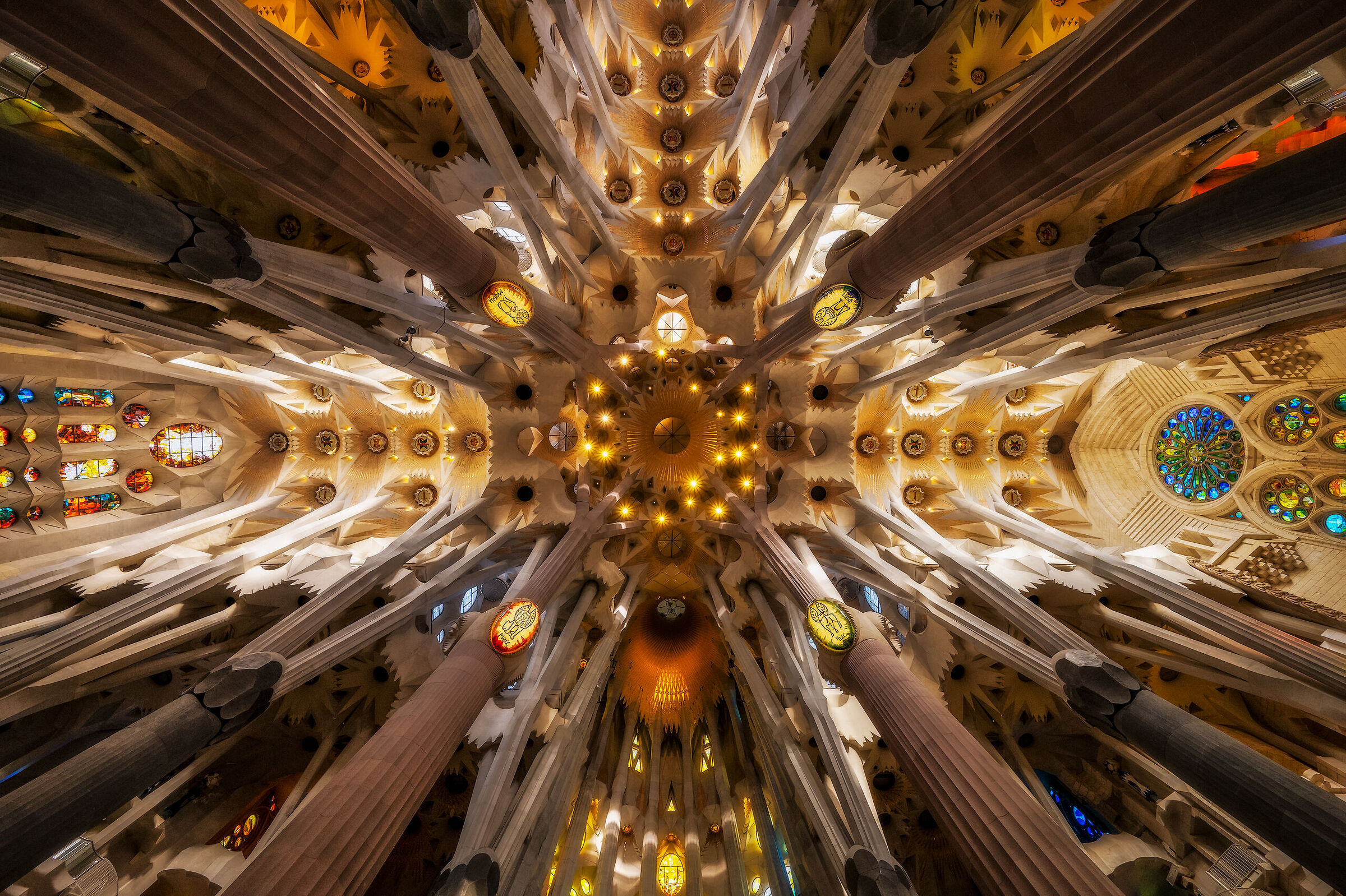 Sagrada Famiglia 3.0 - Il Bosco -