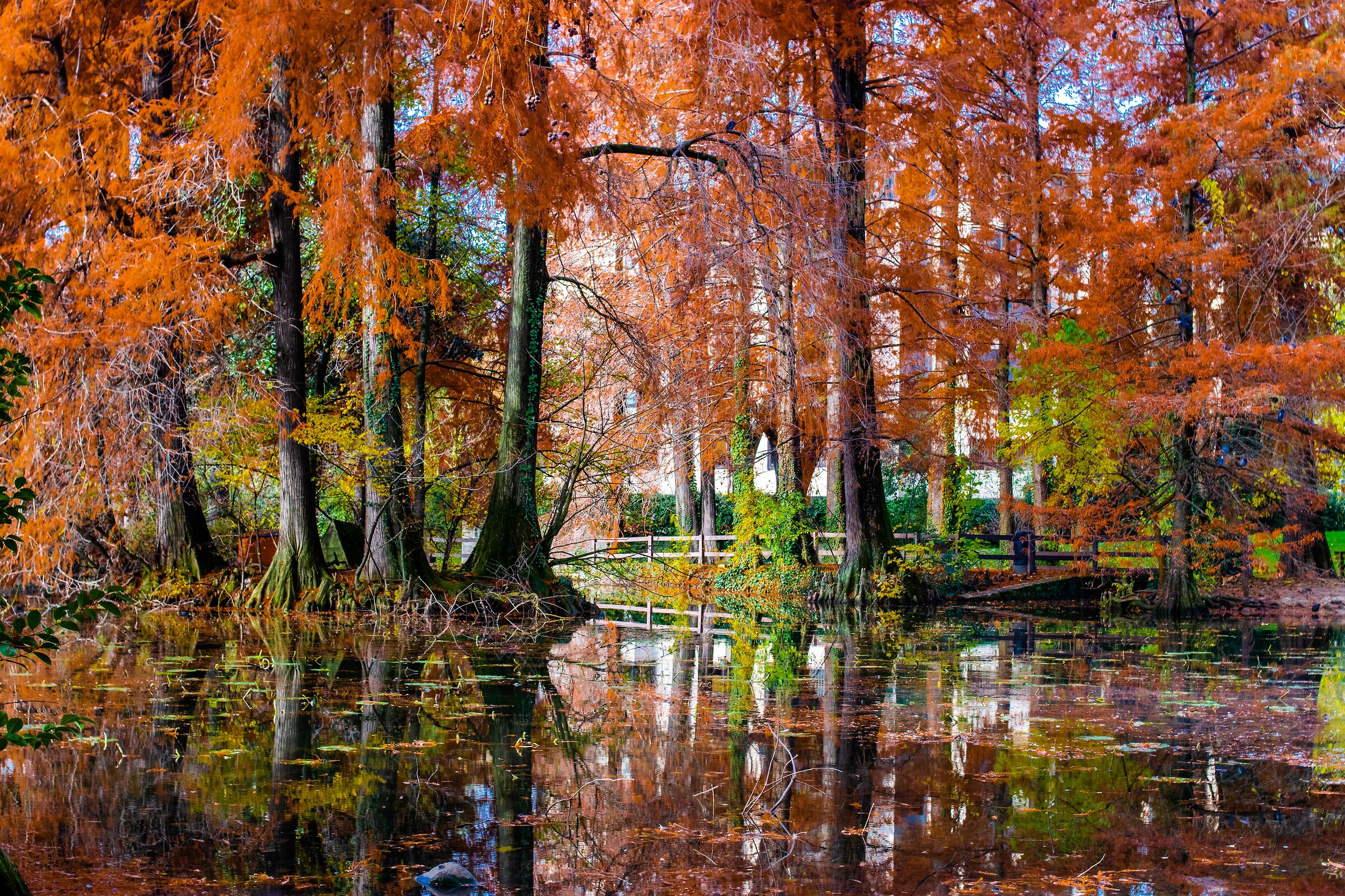 Impressionismo e languore