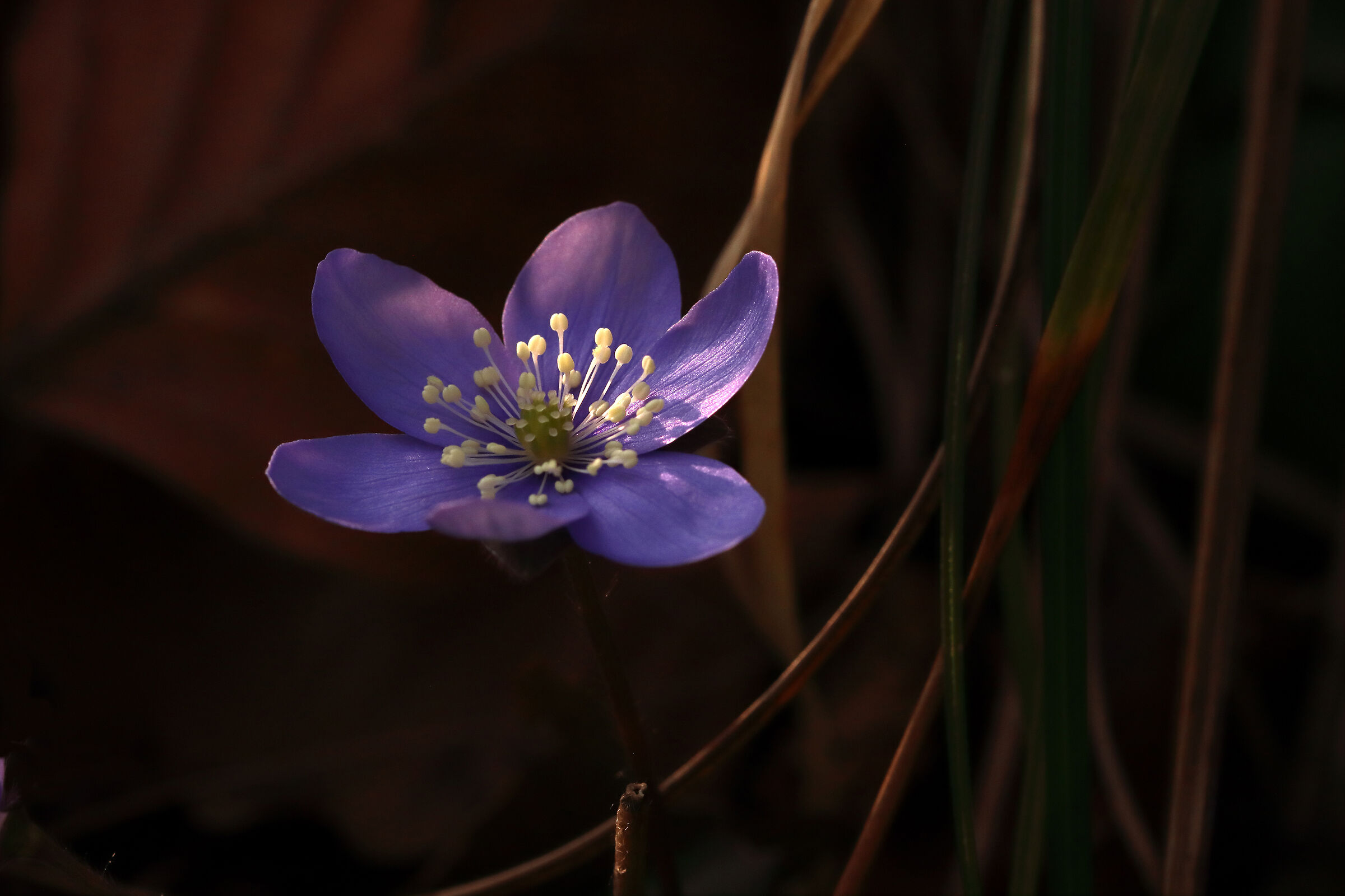 The beauty of simplicity