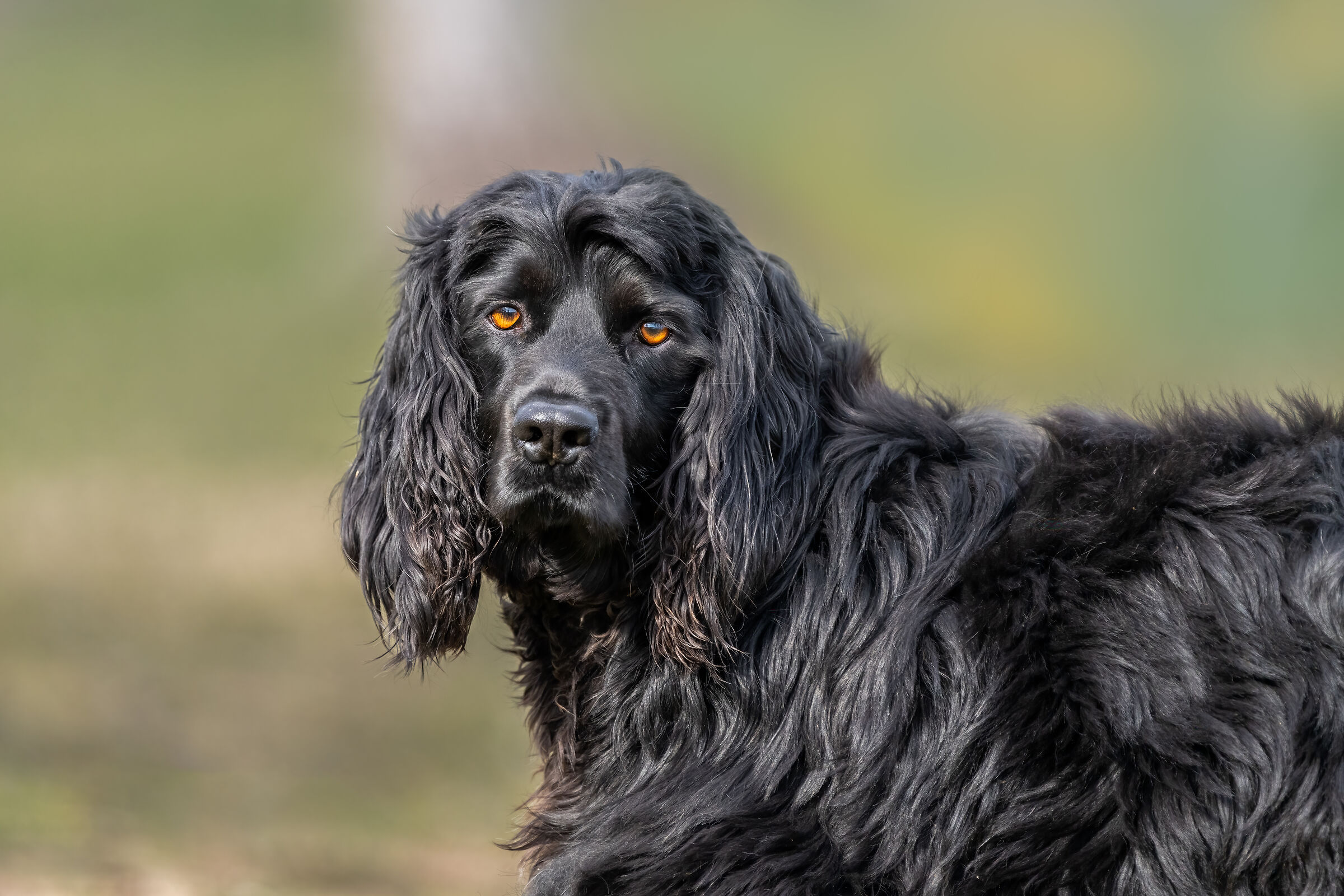 Cosa sta pensando quiz