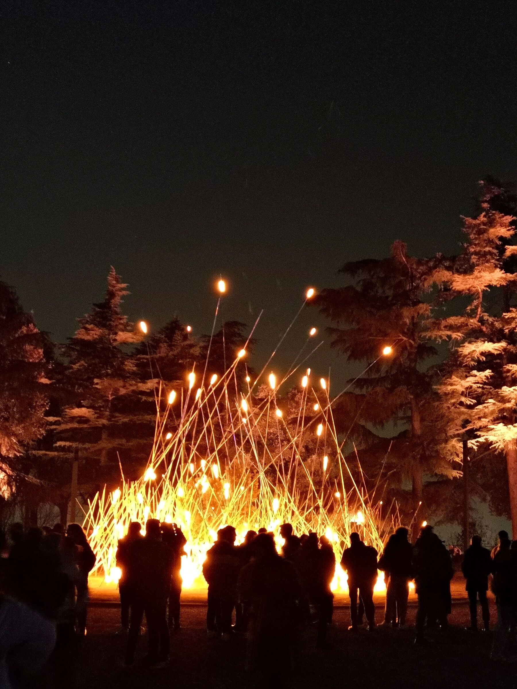 Light's life - Il fuoco II