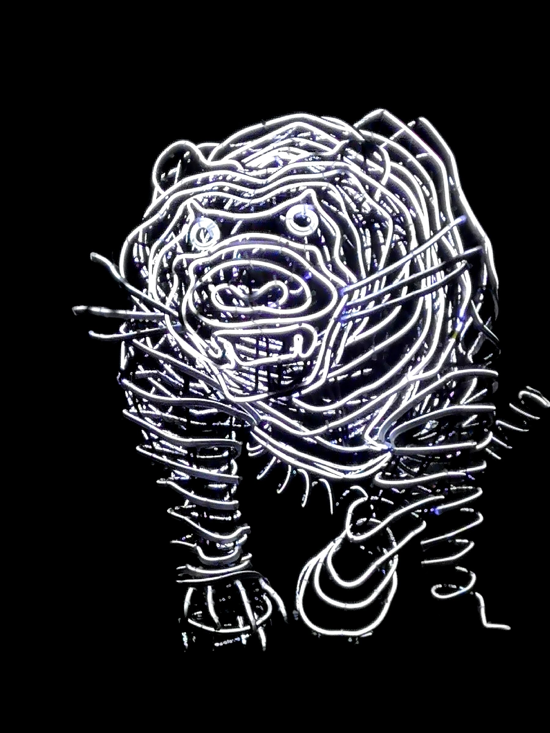 Light's life - Tigre di luce