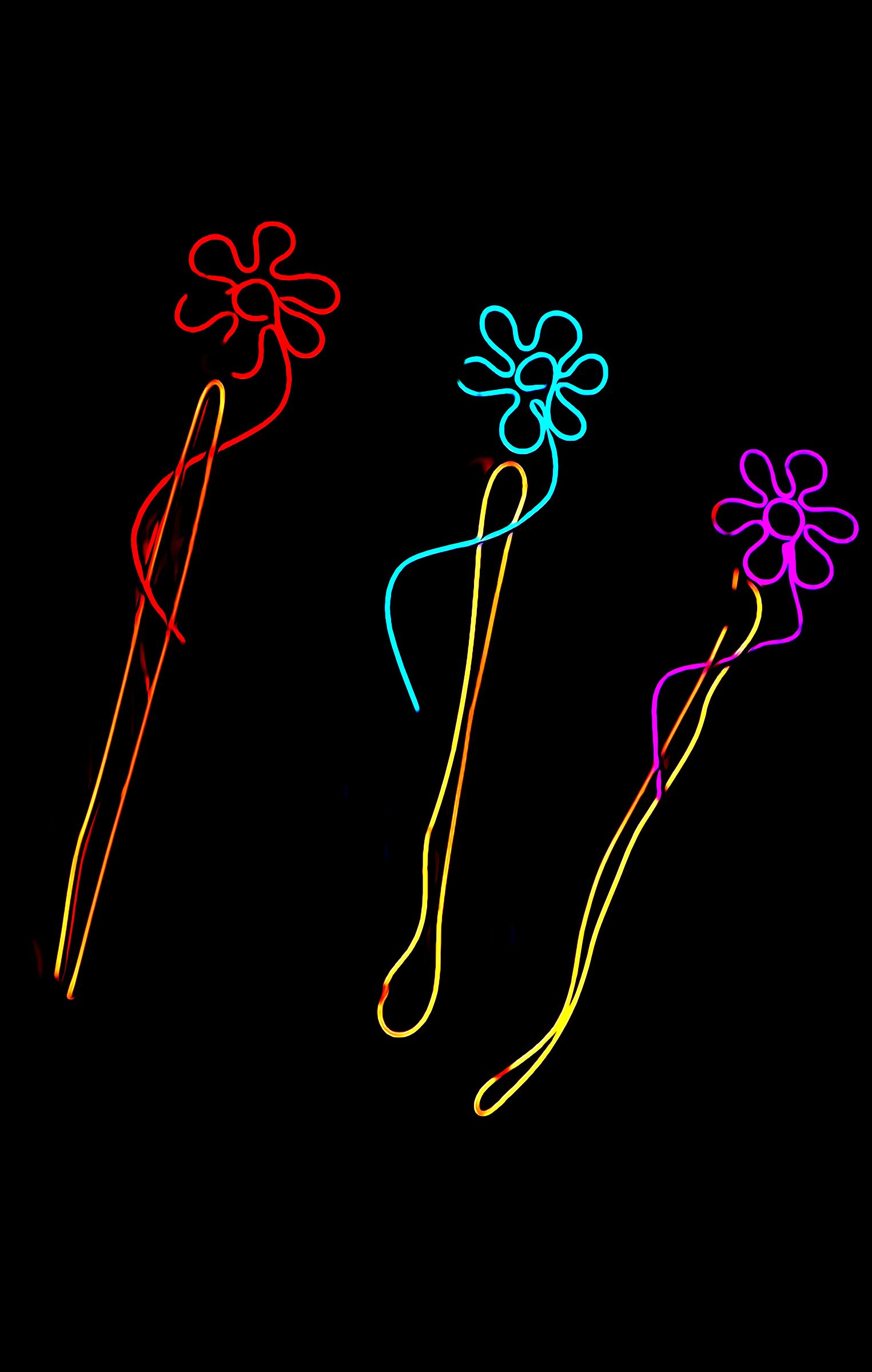 Light's life - Fiori