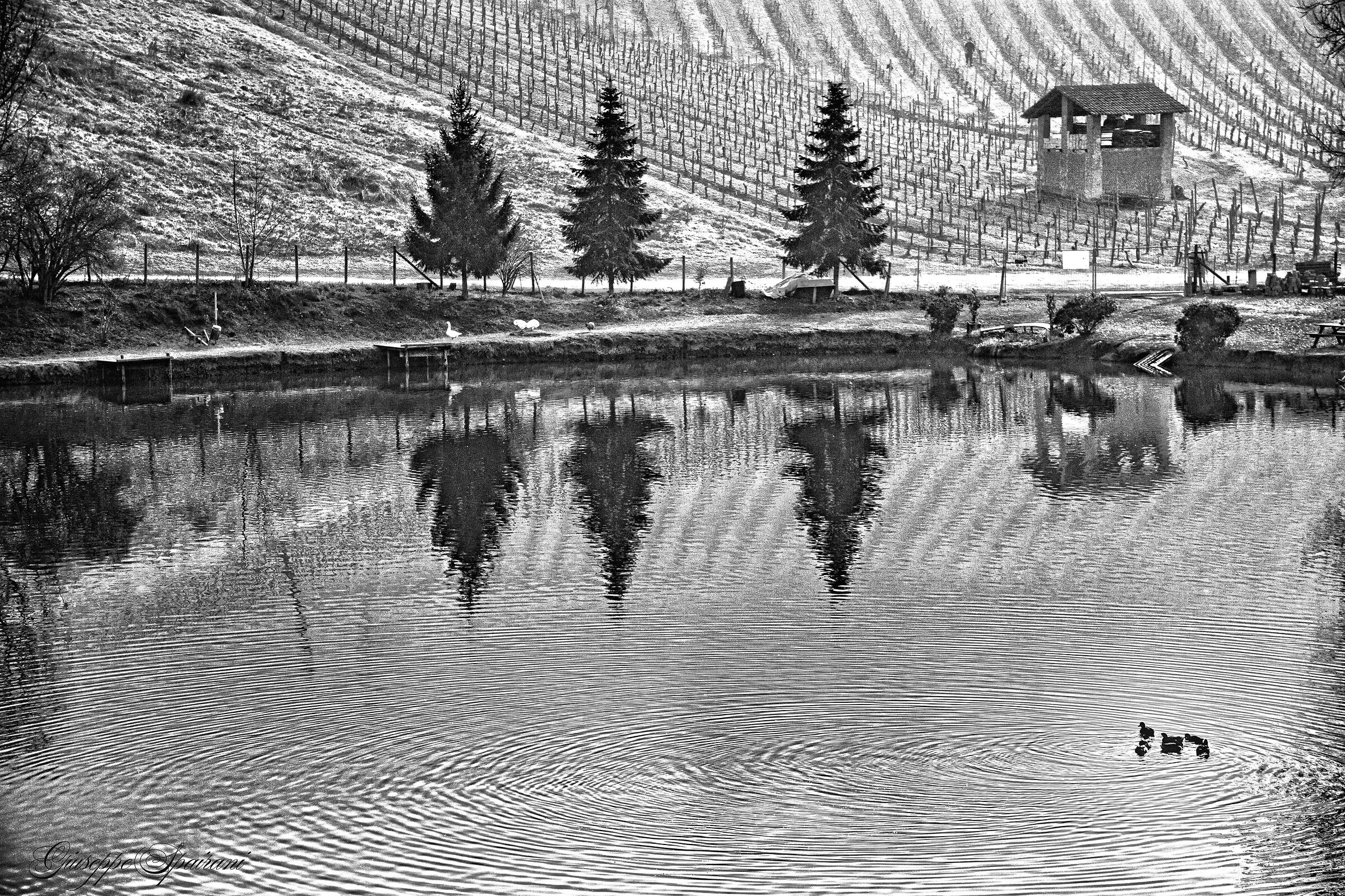 vasca di Cigognola Oltrepò Pavese