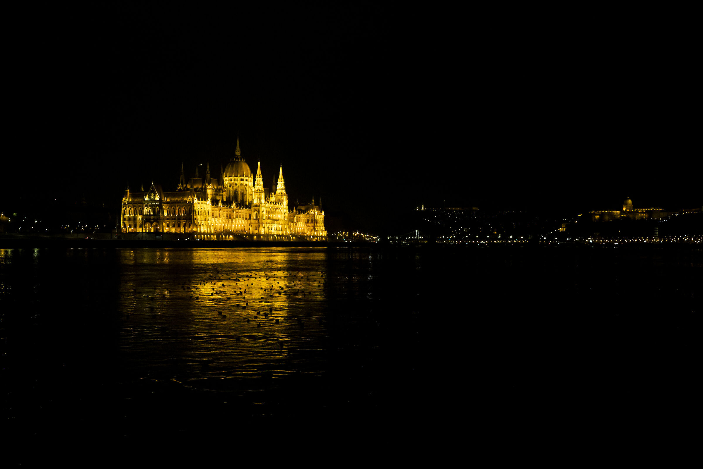 Hungarian Parliament