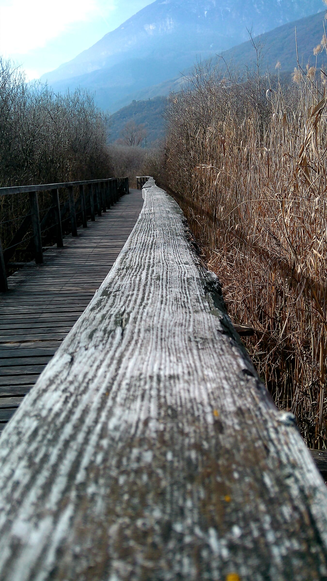 Caldaro: handrail on the lake