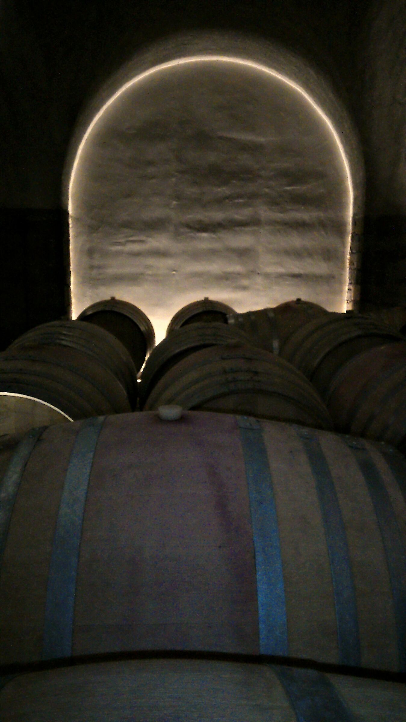 Caldaro: cellar