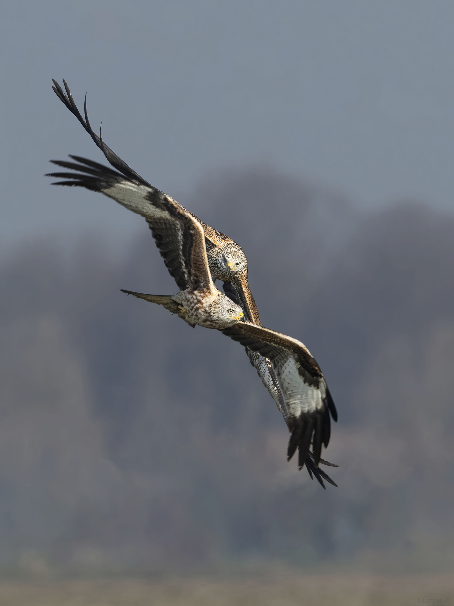 In the wake of overtaking