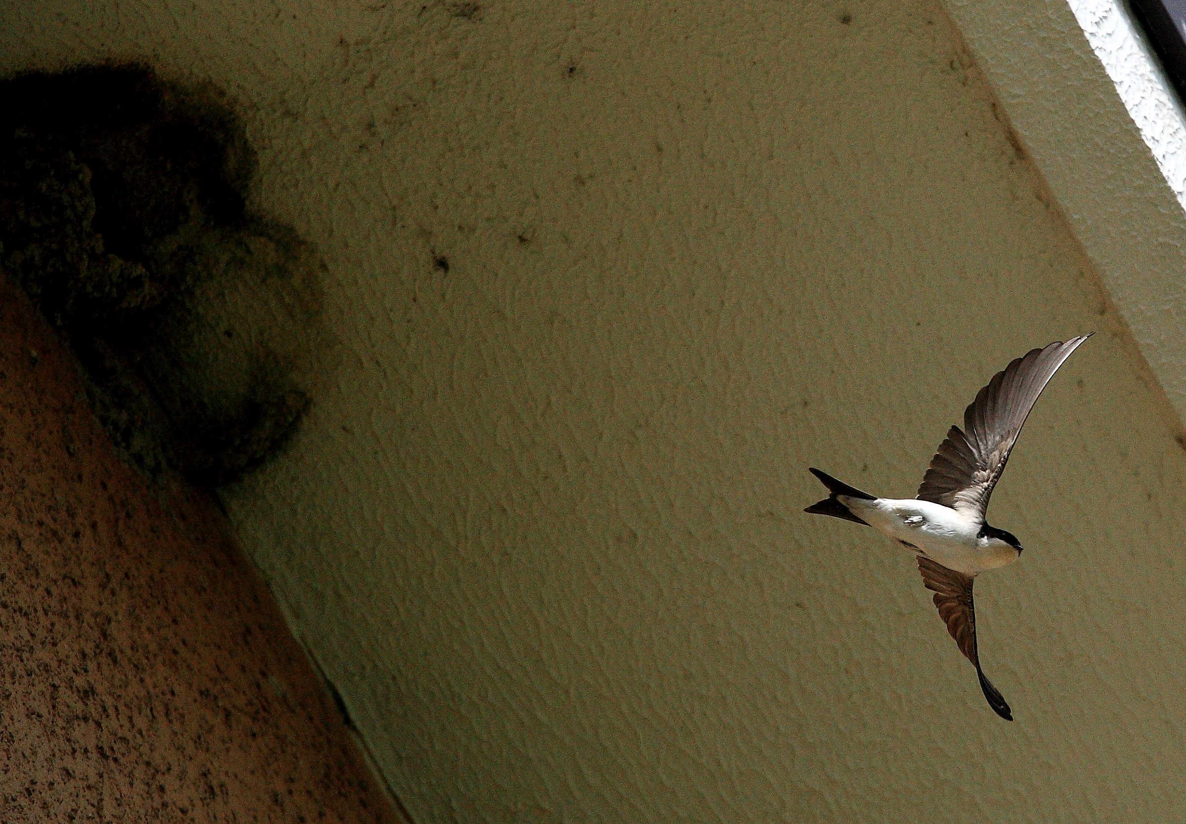 Prima foto con 5dmark3