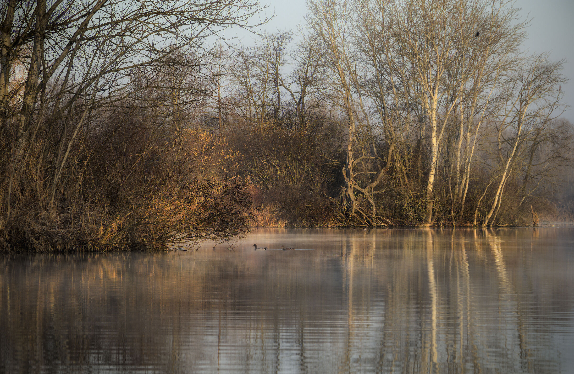 Luci e ombre invernali