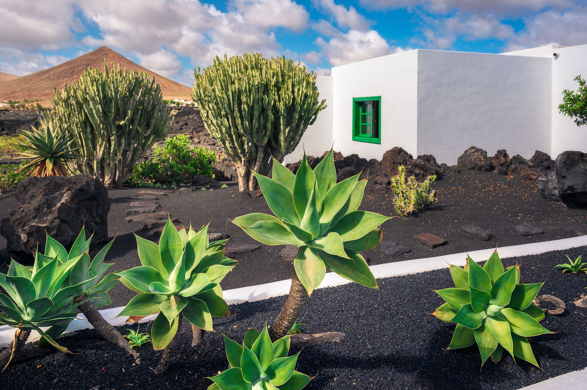 foundation Cesar Manrique