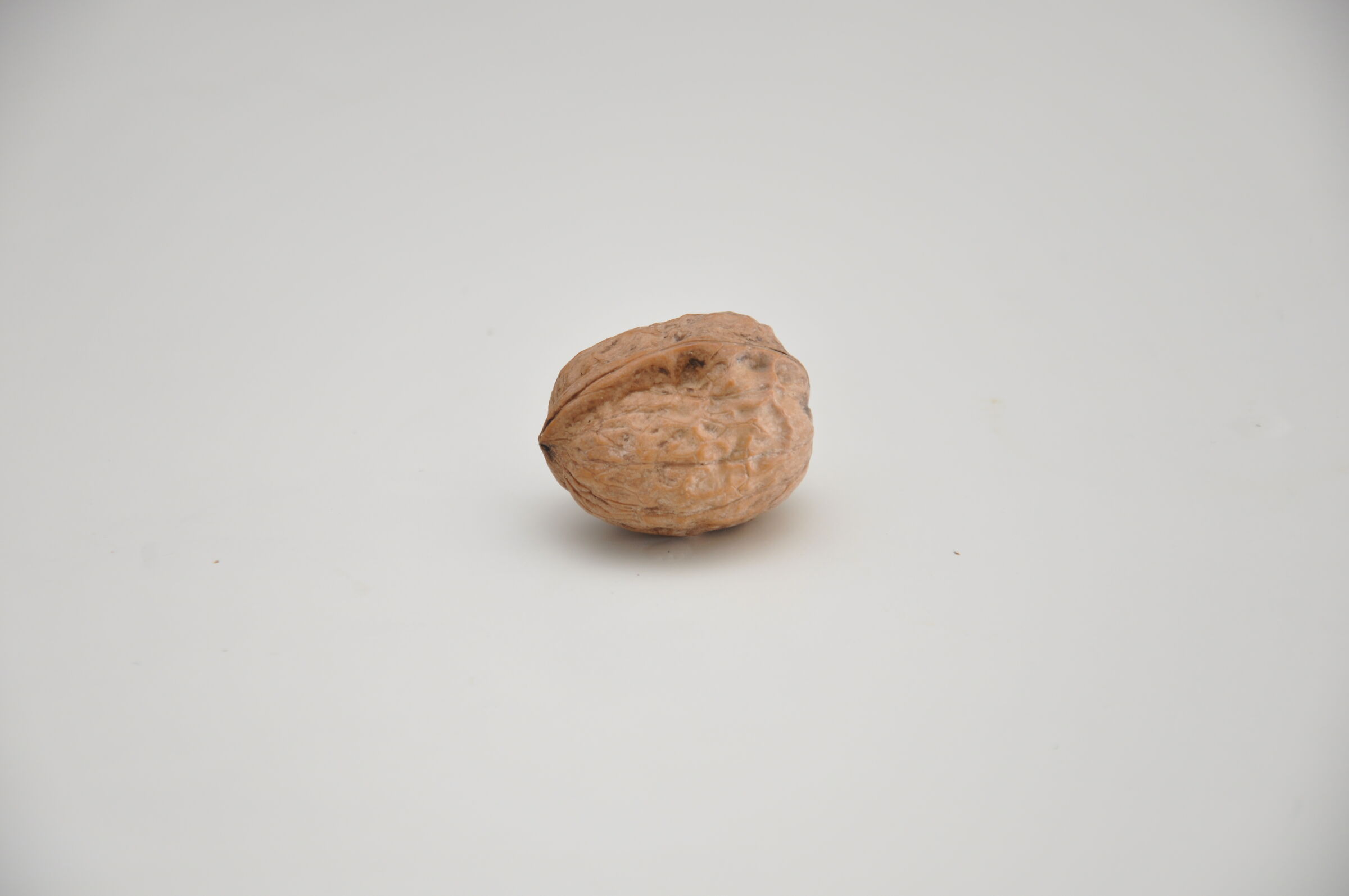 nut
