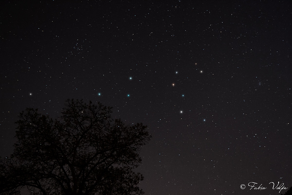 Costellazione del leone