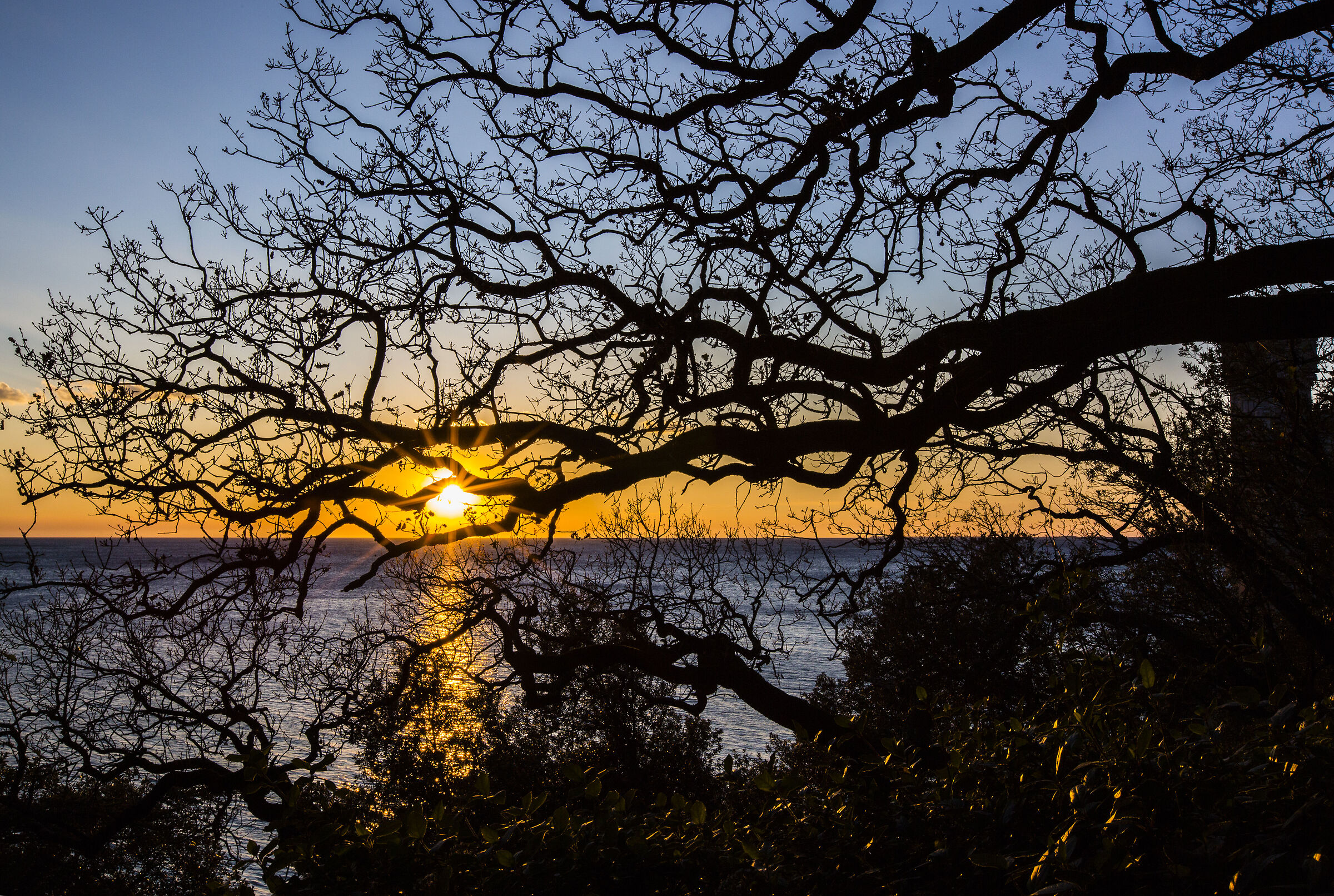 Sunset in Trieste