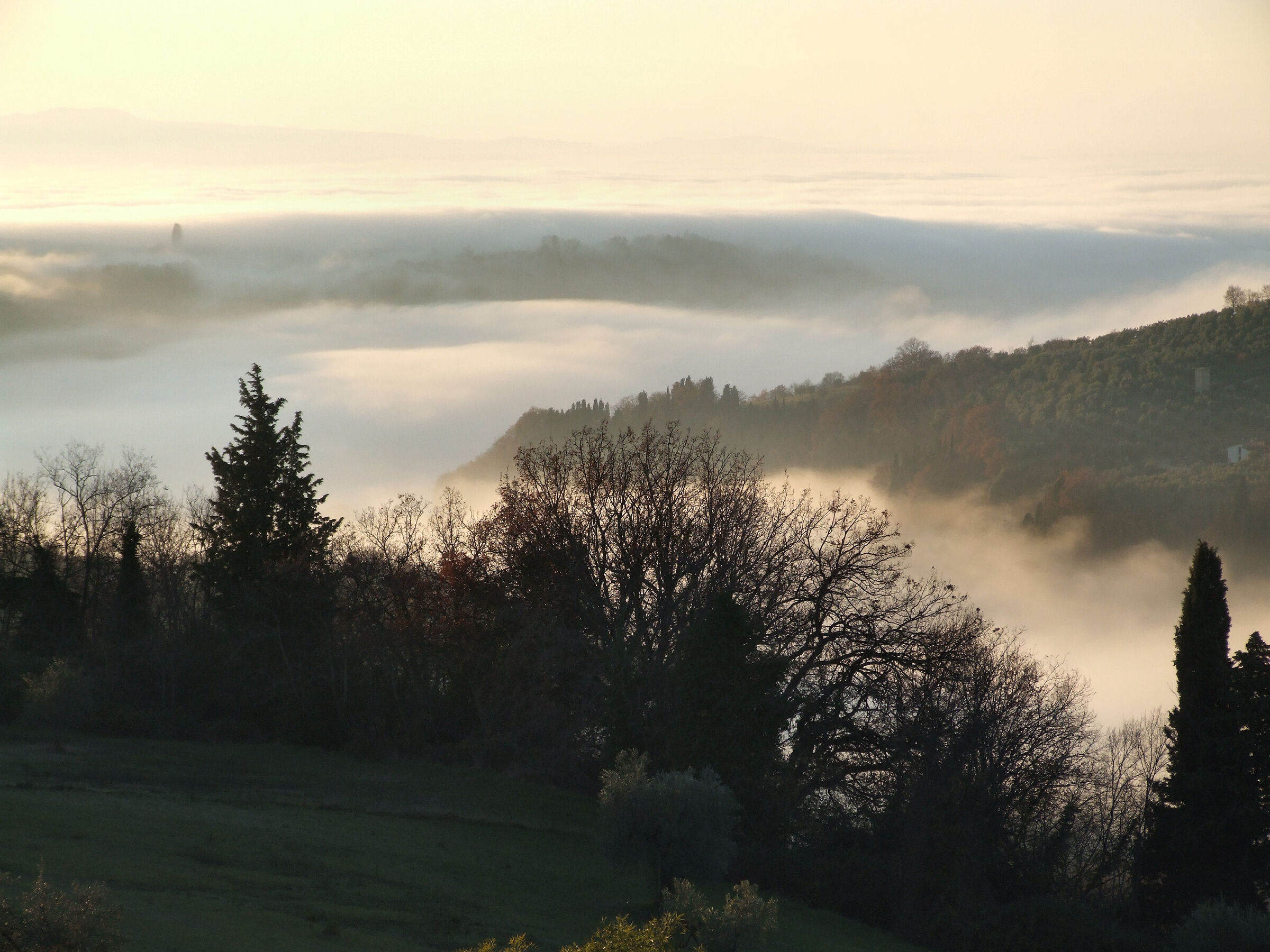 sea of fog