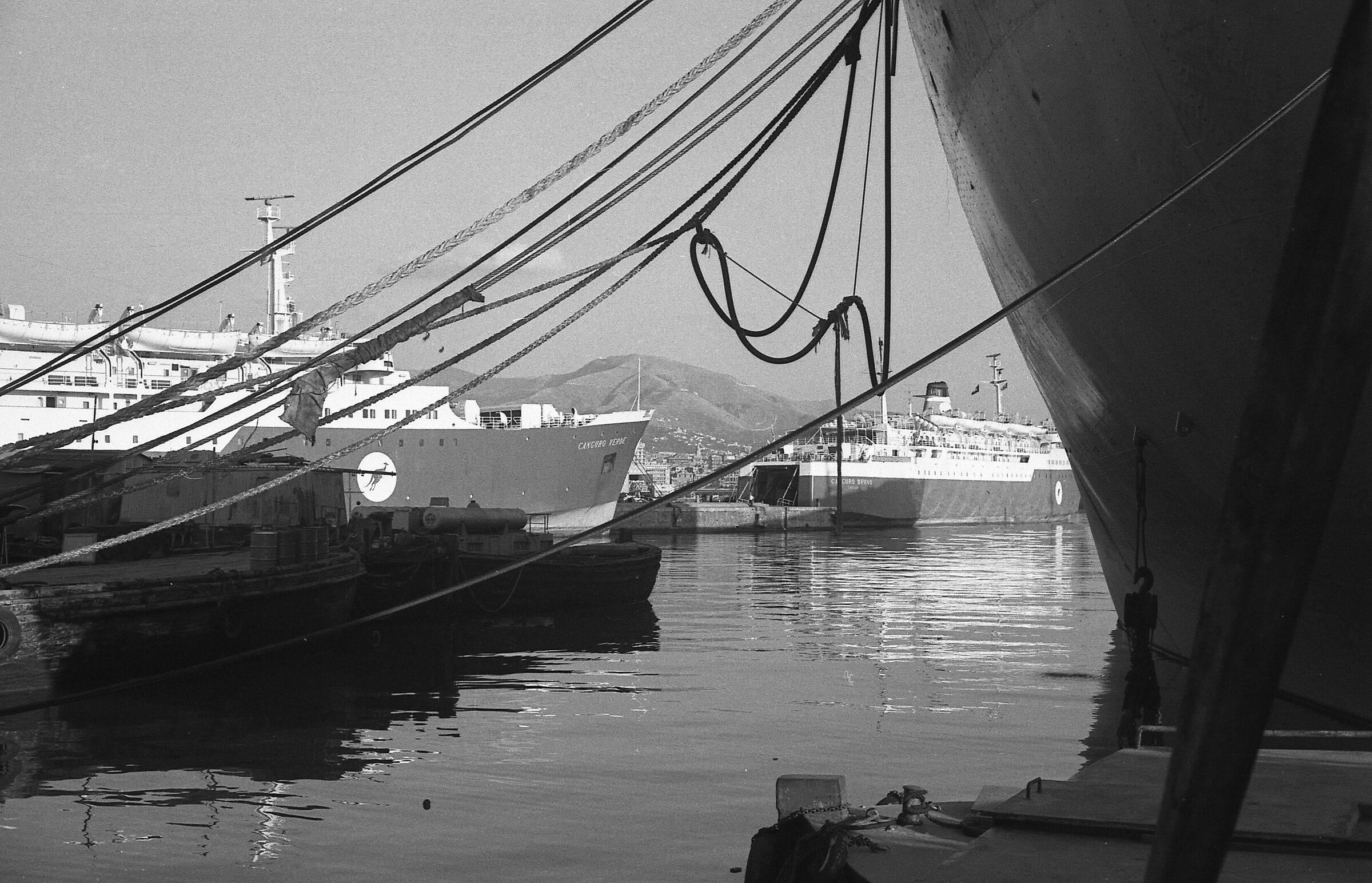 ...paese di ferrame e alberature a selva...