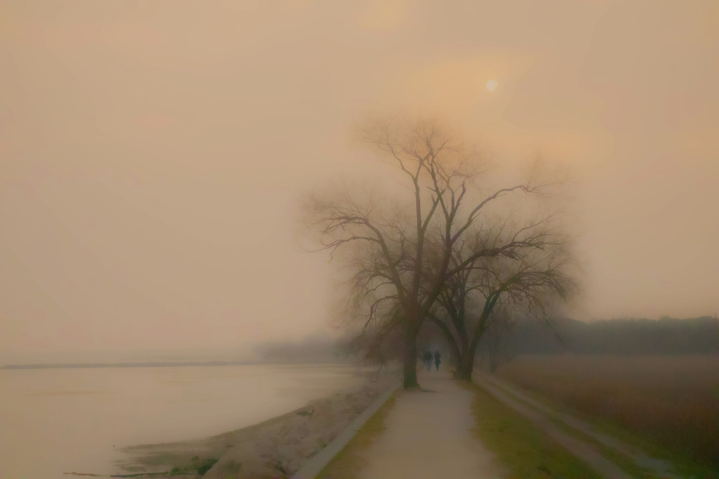 la nebbia della sera