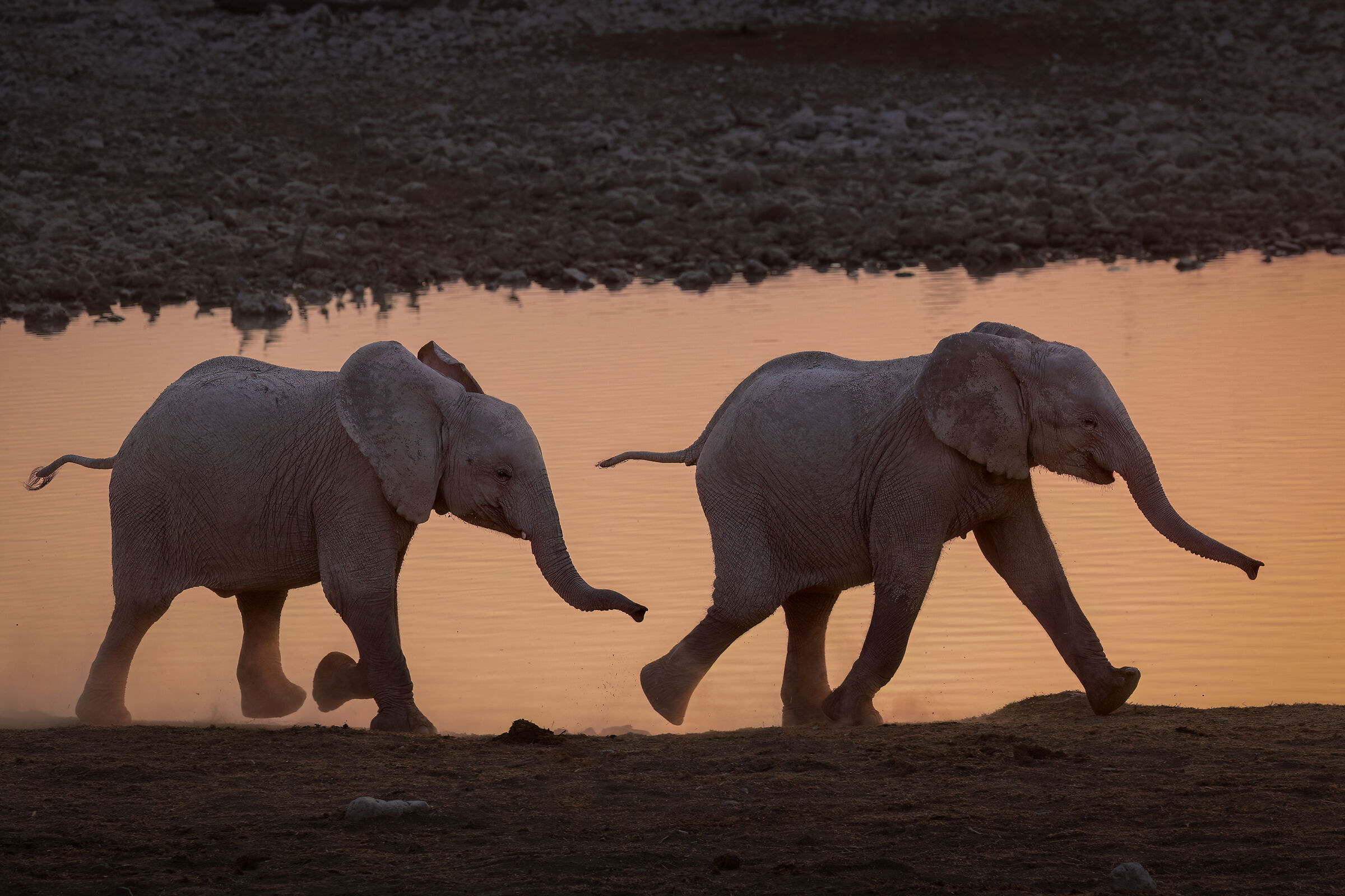 Arrivano i brothers!