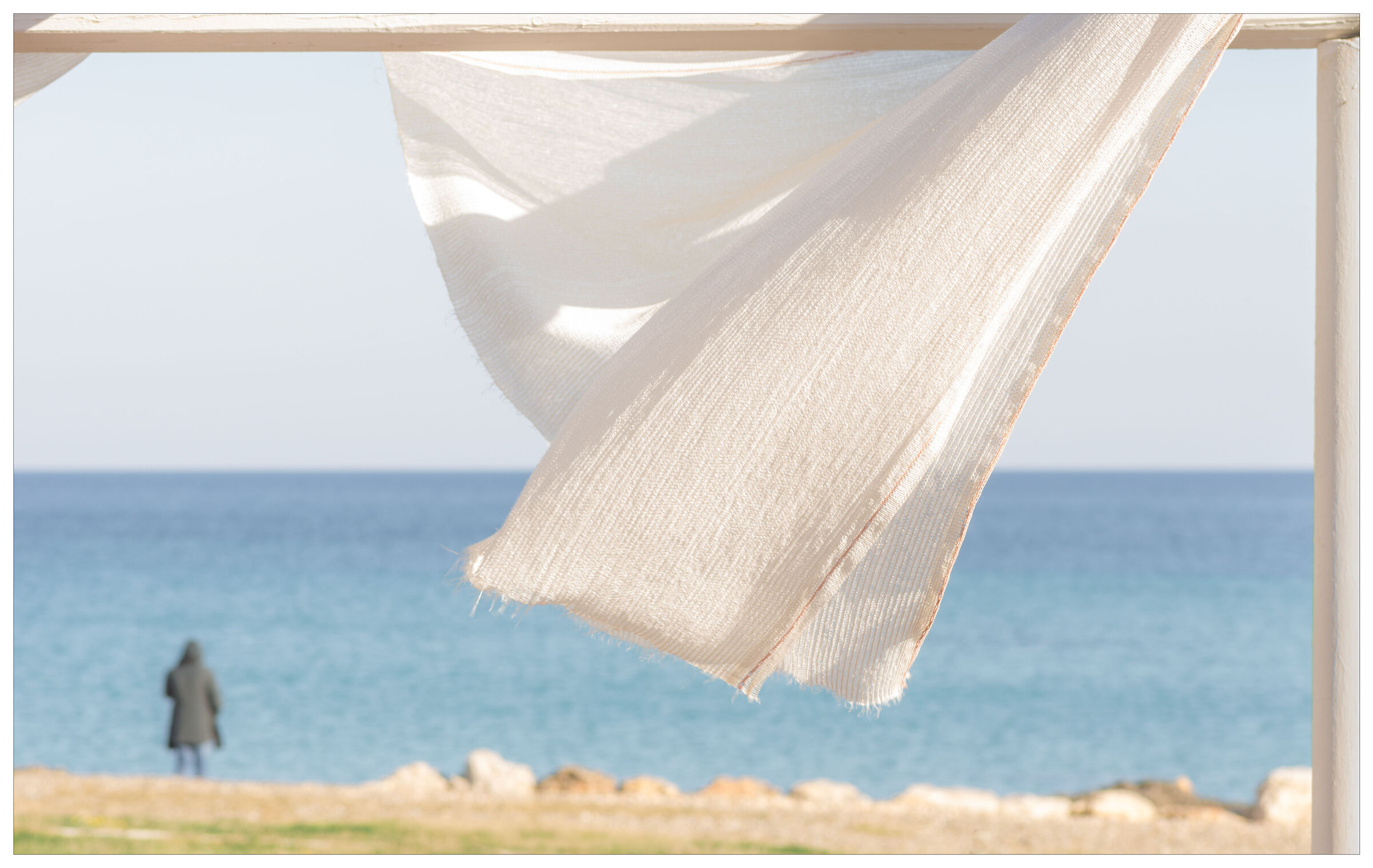 The color of the wind