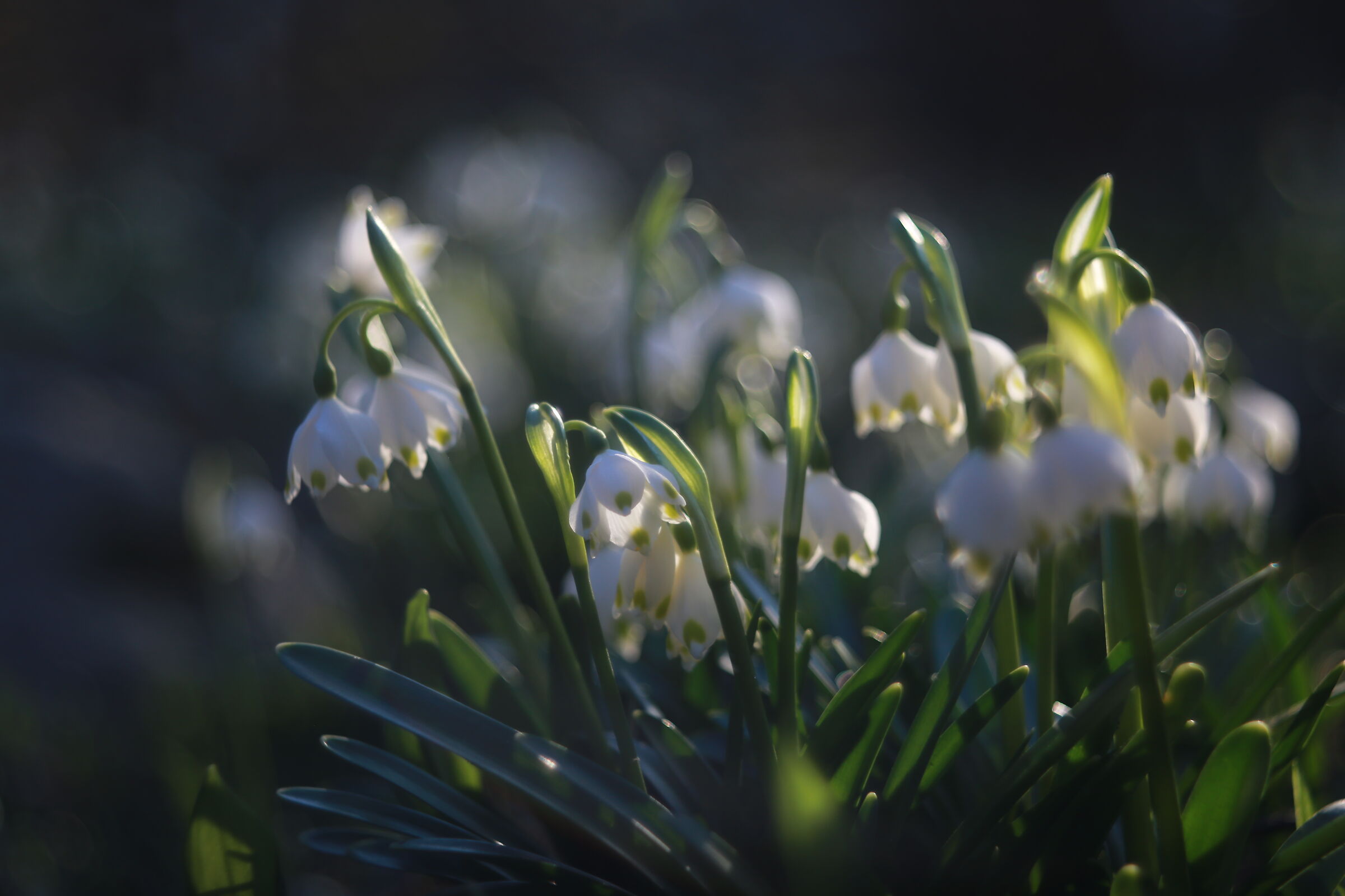 Il fascino del vintage