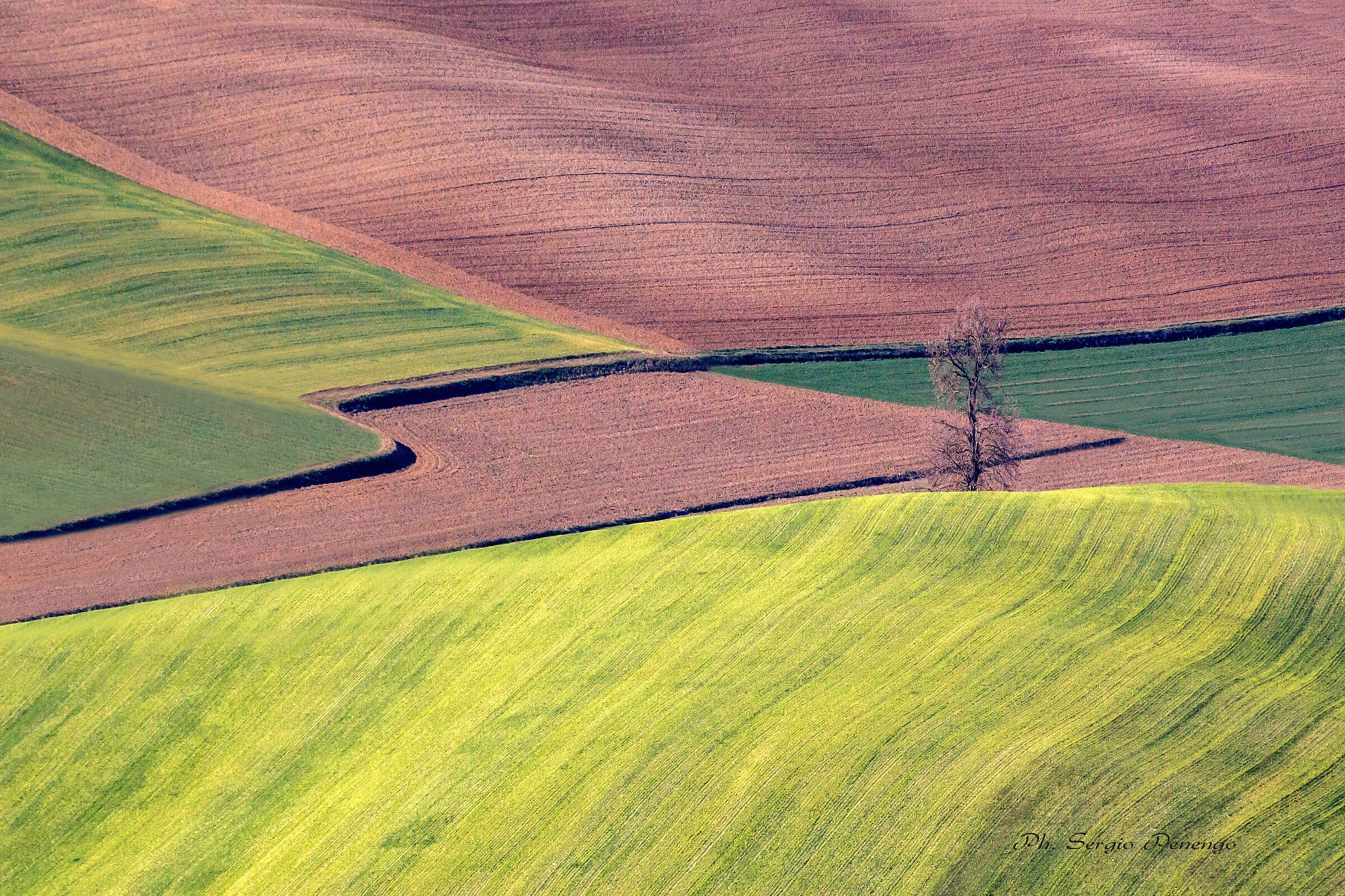Geometries of Monferrato