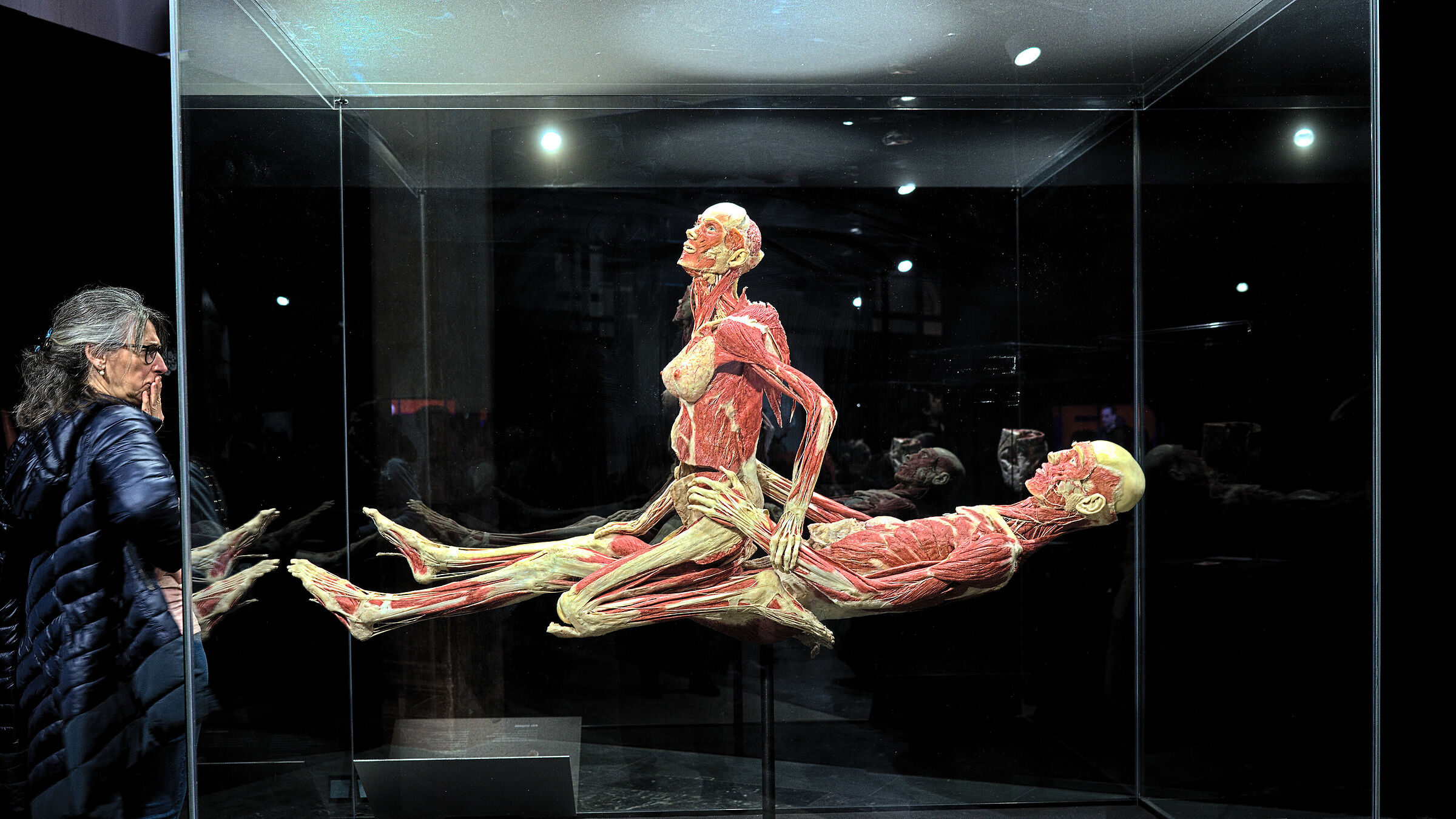 Real body Mi Centrale
