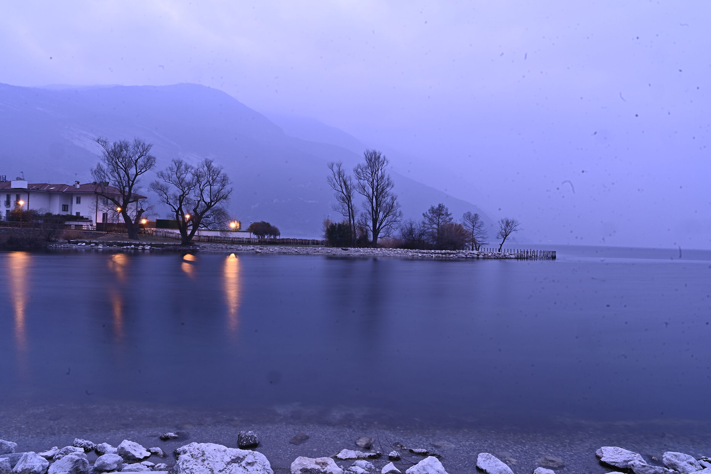 Untitled Photo