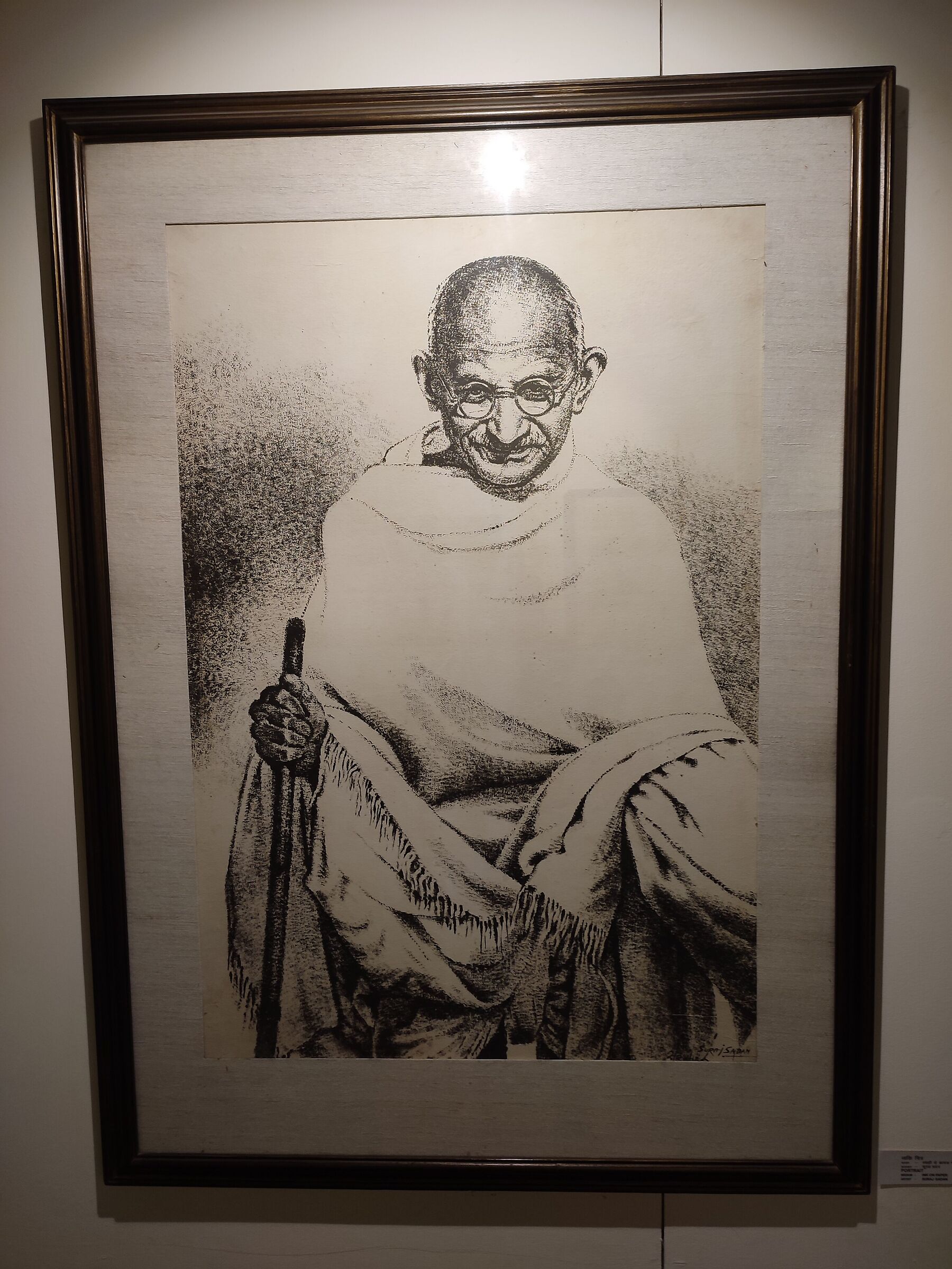 Mahatma Gandhi, leader immenso