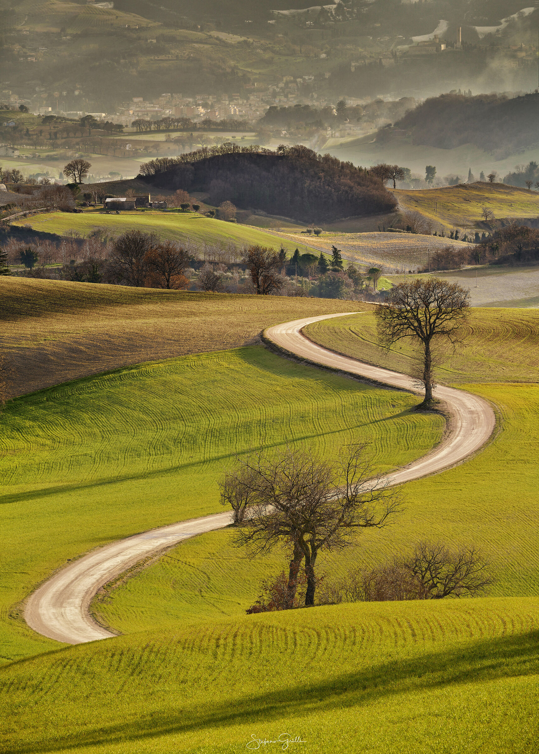 Curve in profondità, San Severino Marche