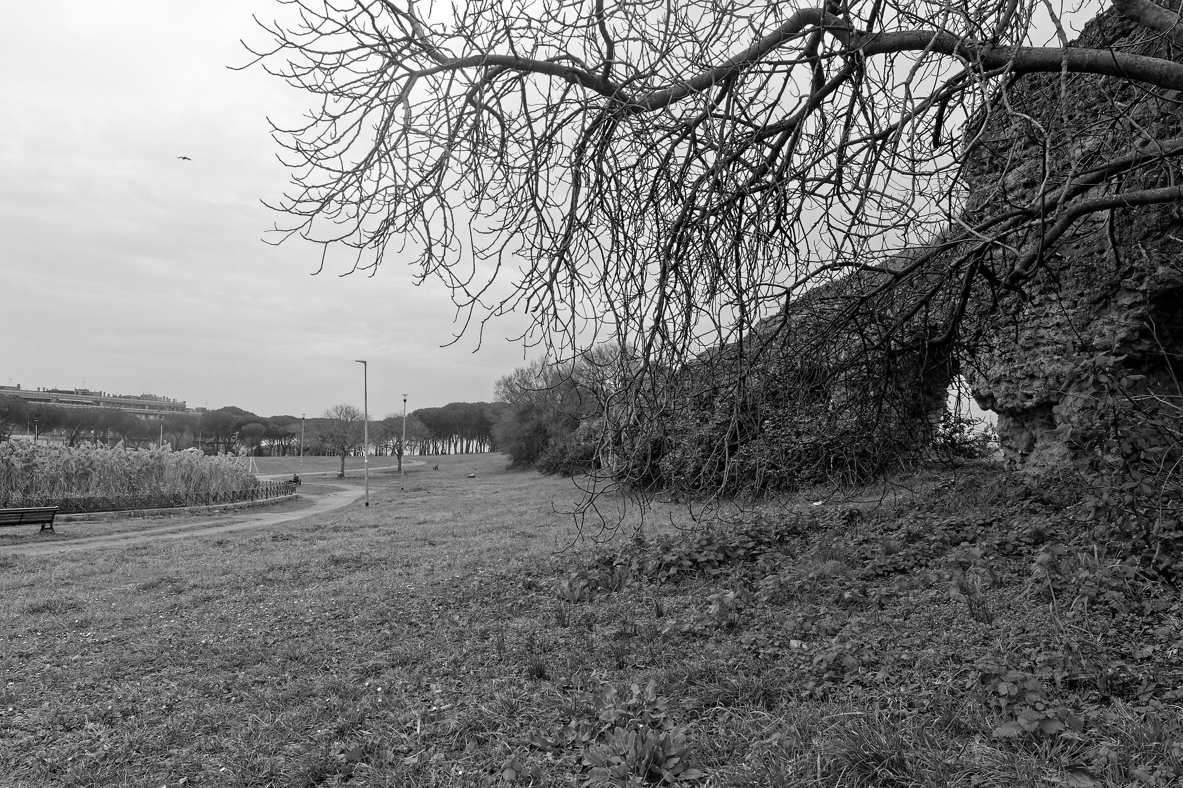 parco tor tre teste