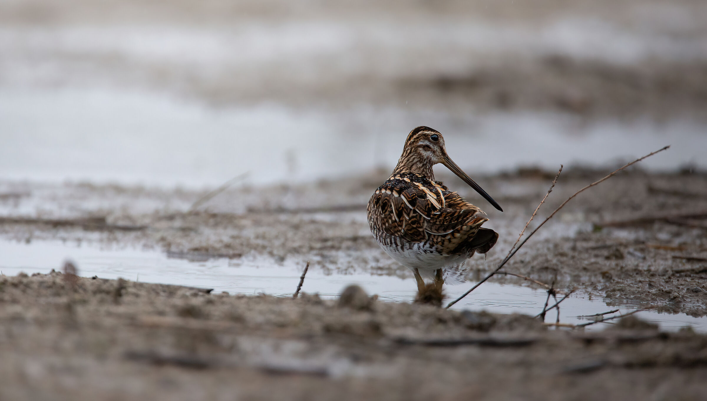 Waterproof snipe