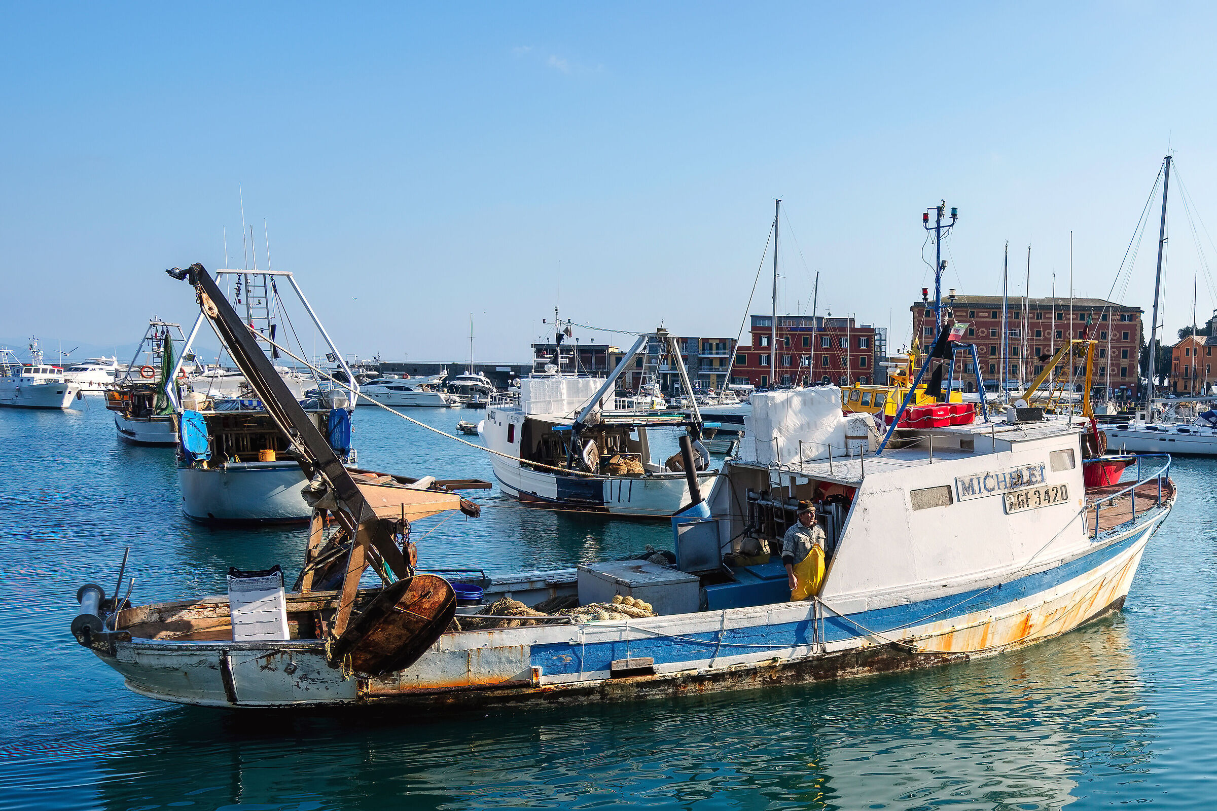 "Real or fake????????????"