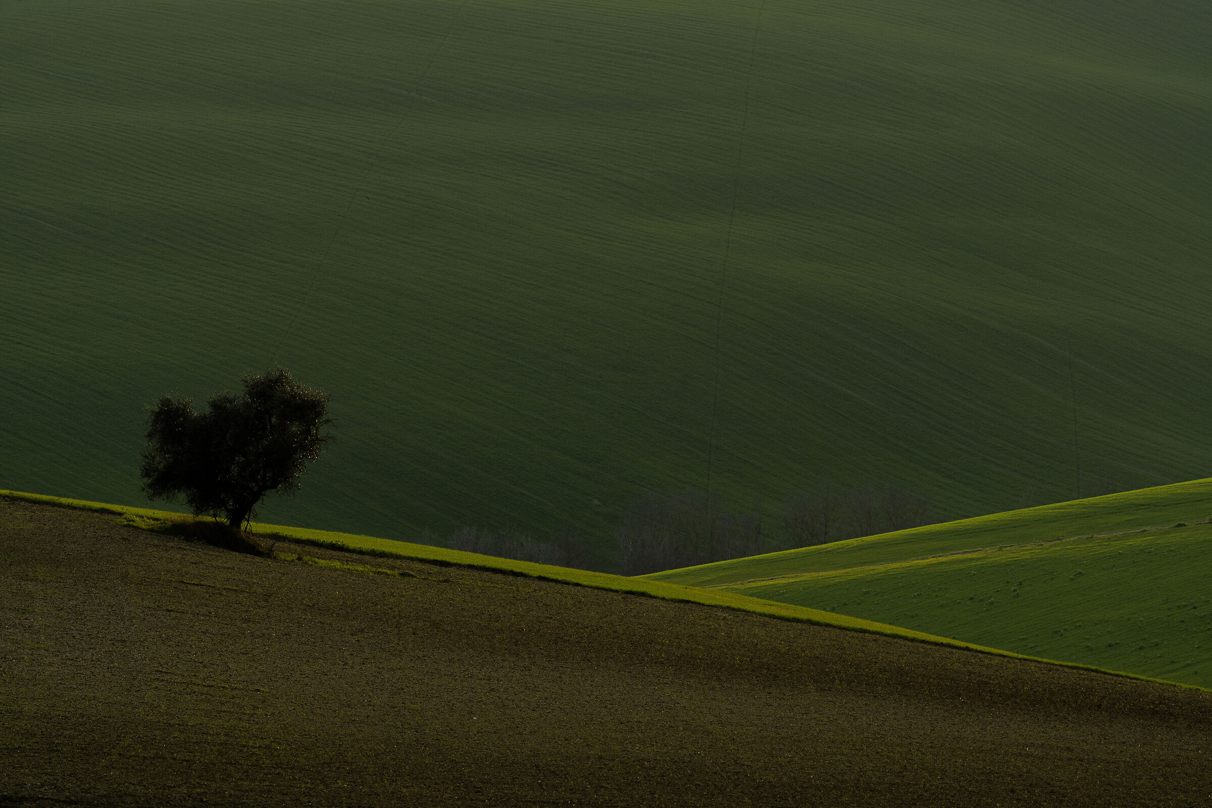 Diagonali in campagna
