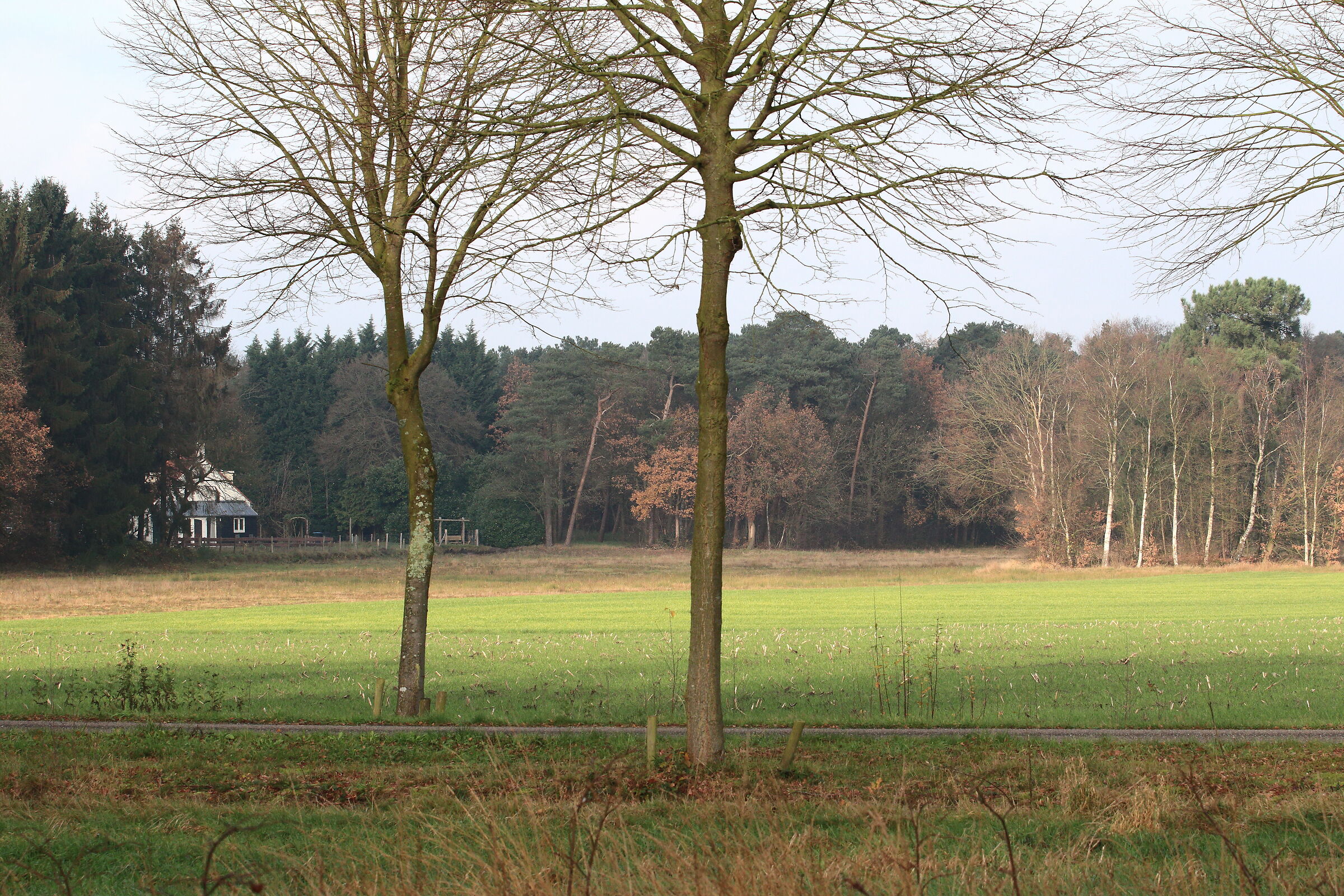 Roosendaal