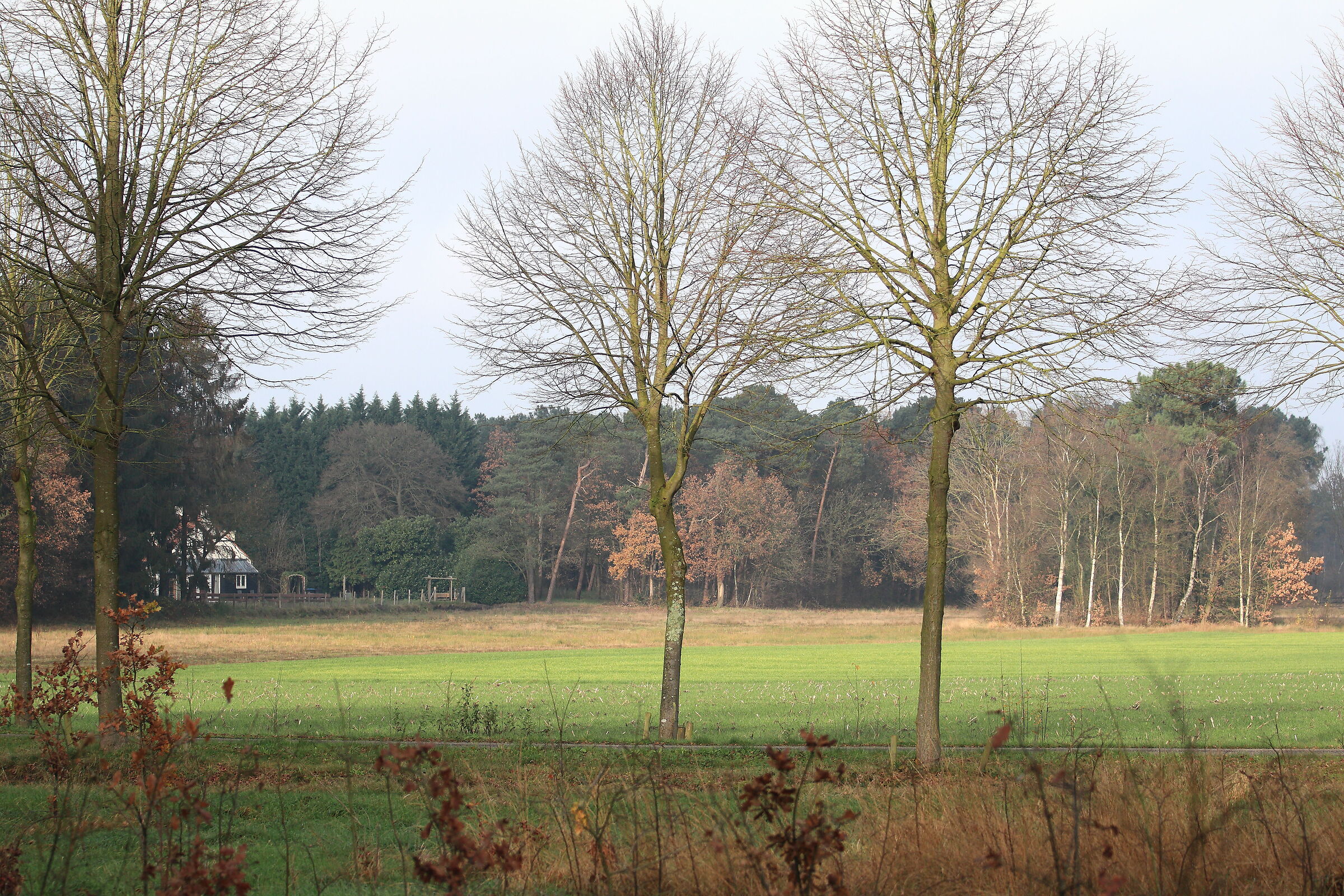 Roosendaal