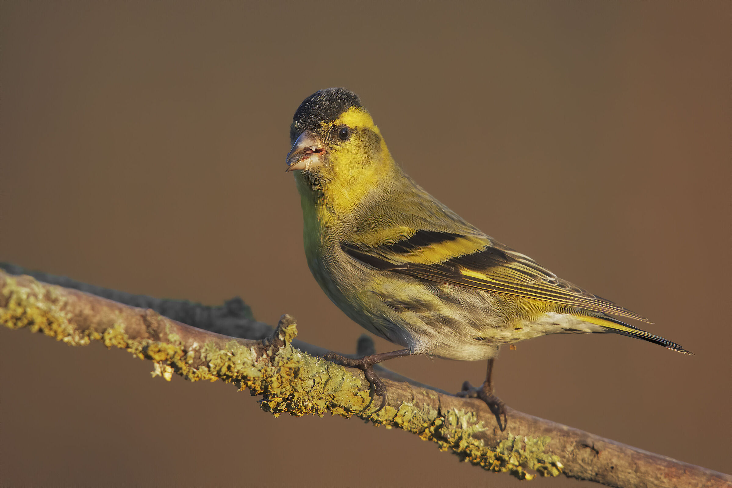 scatto ri repertorio7