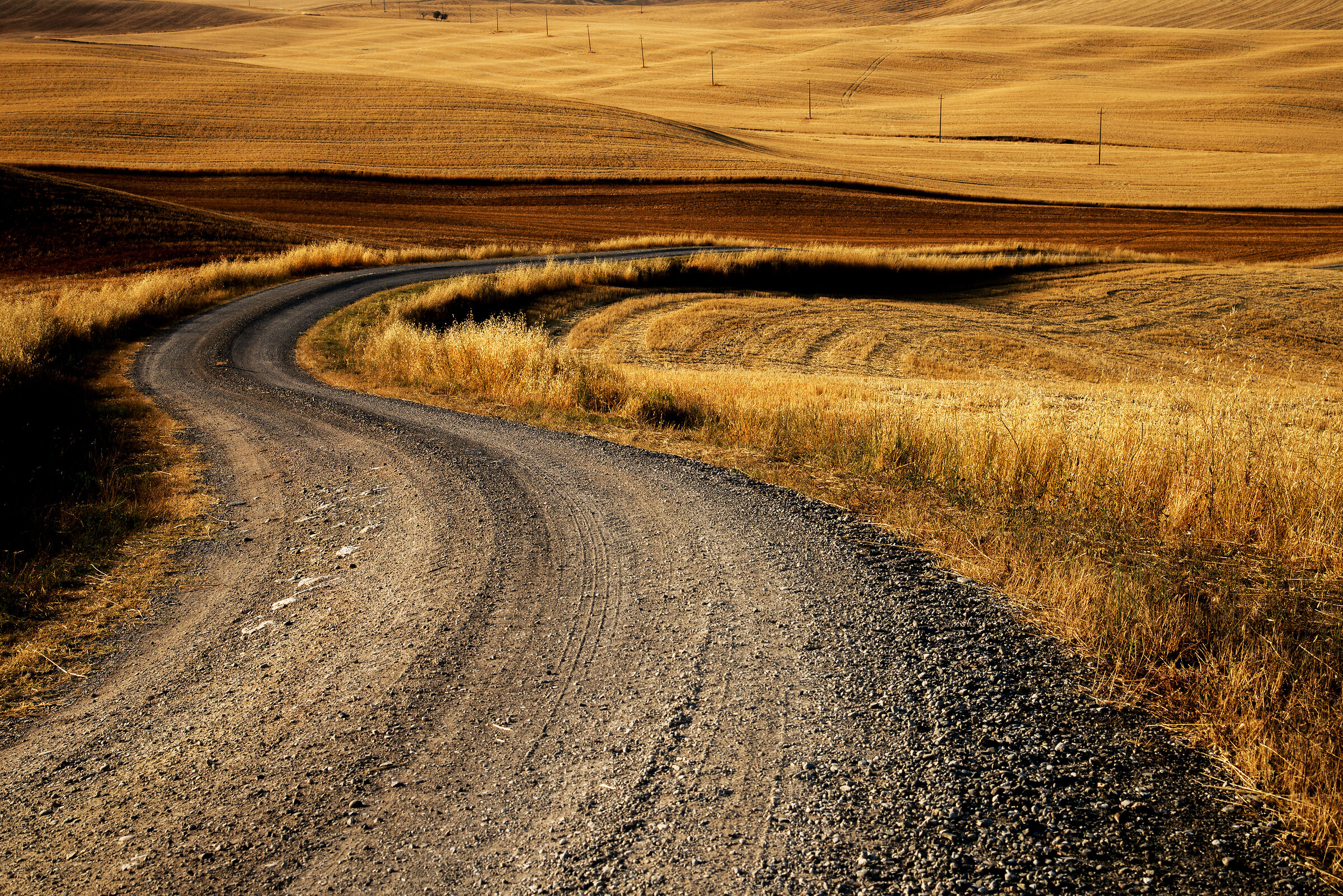 The curve...