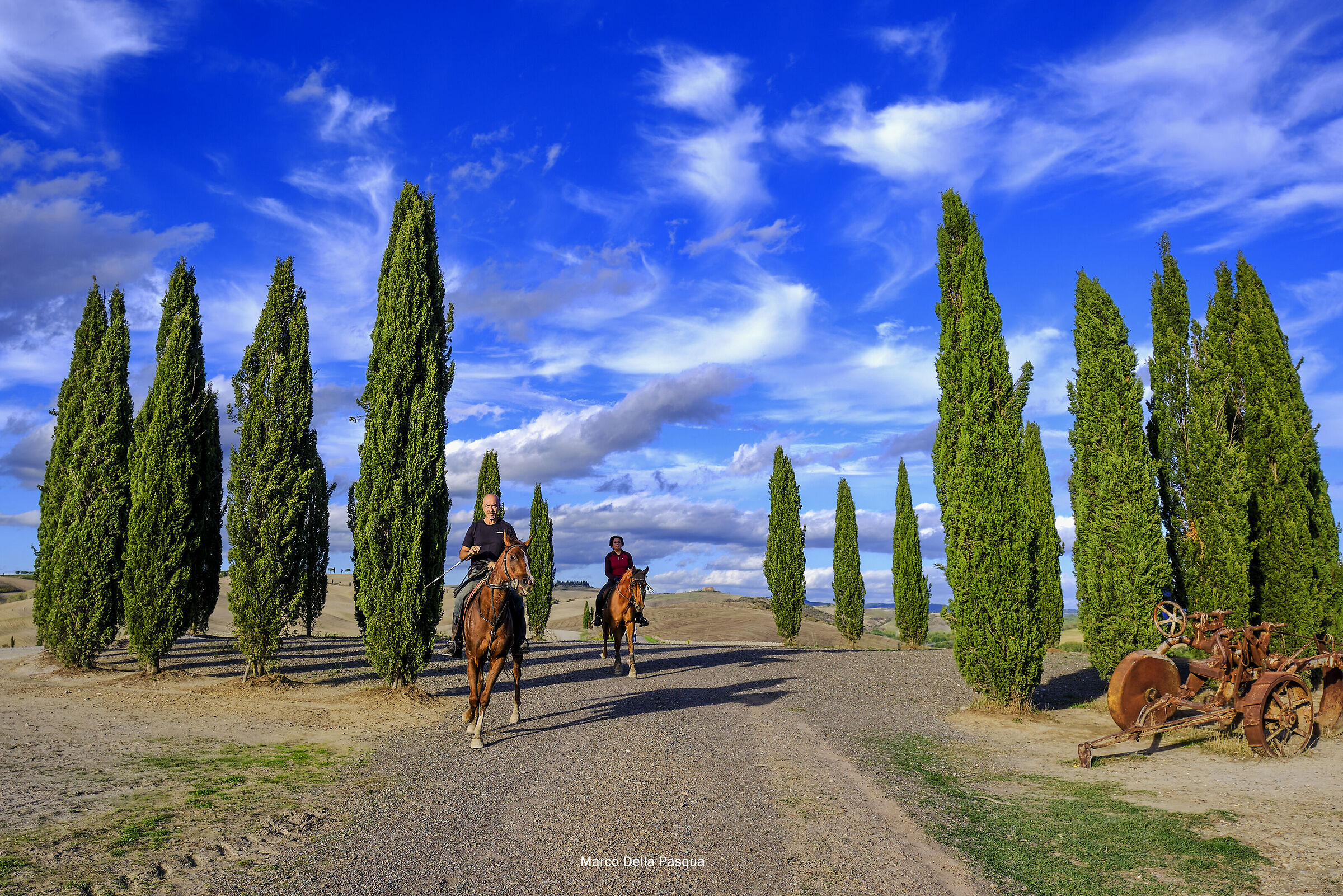 The Crete Senesi 1