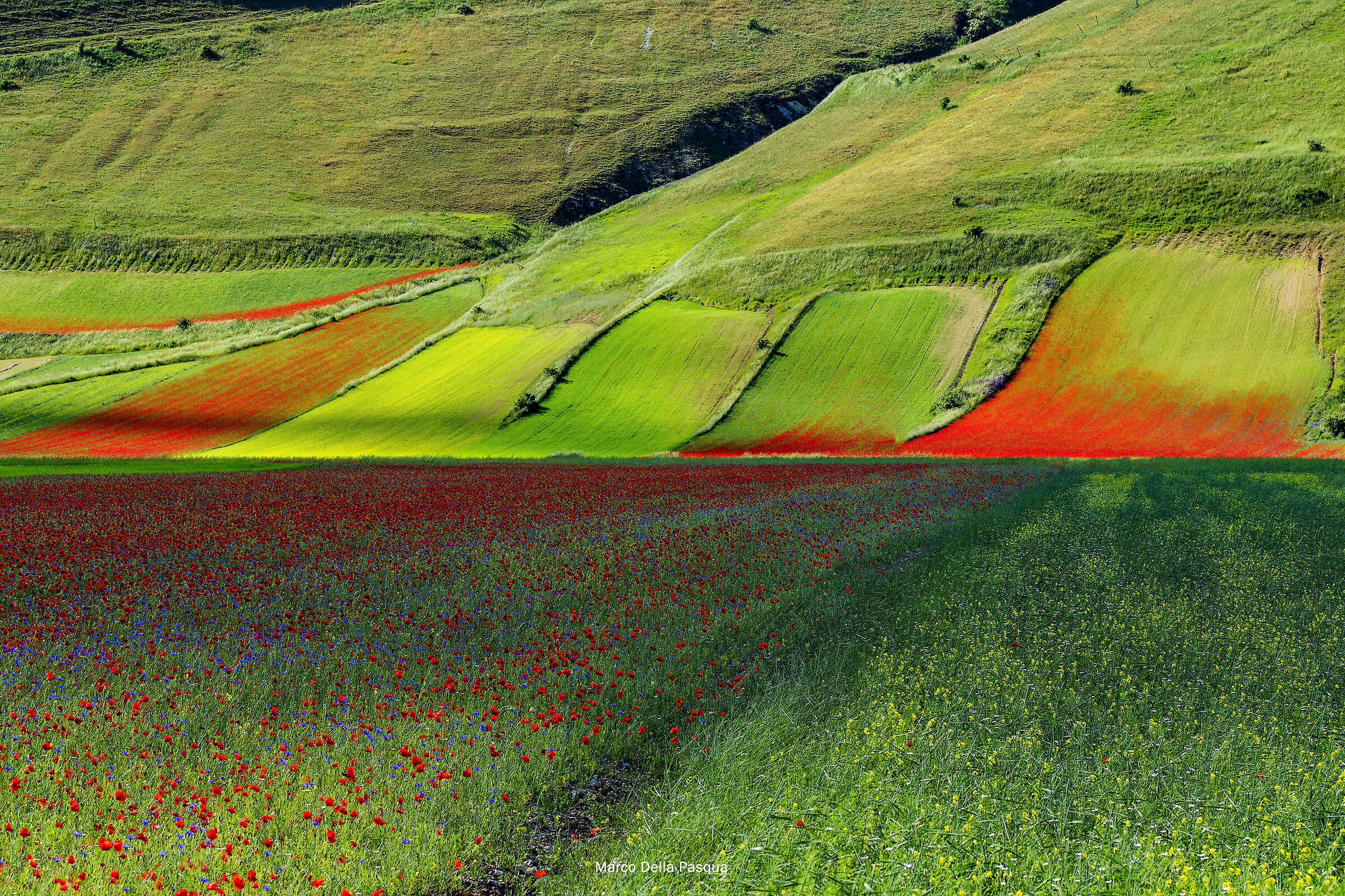 Castelluccio-1