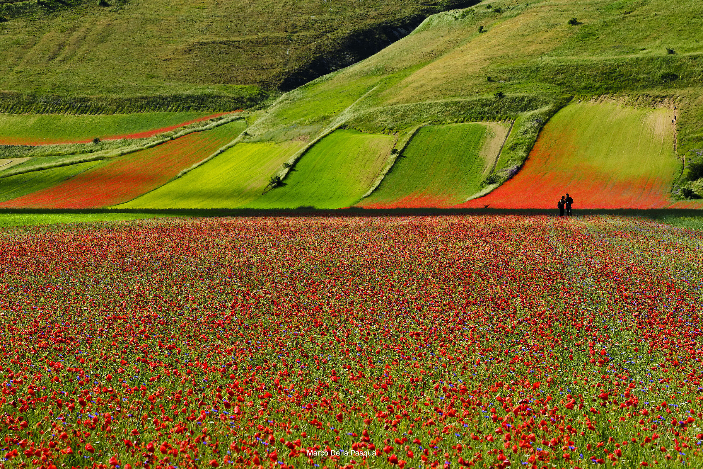Castelluccio-3