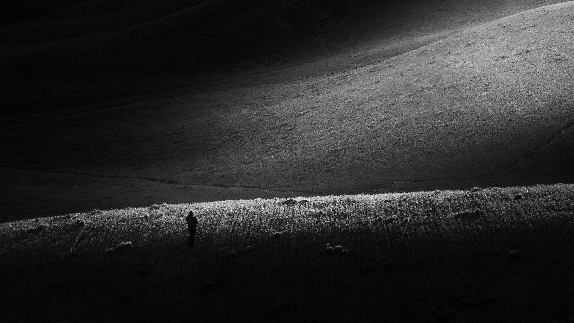 Wating for the light