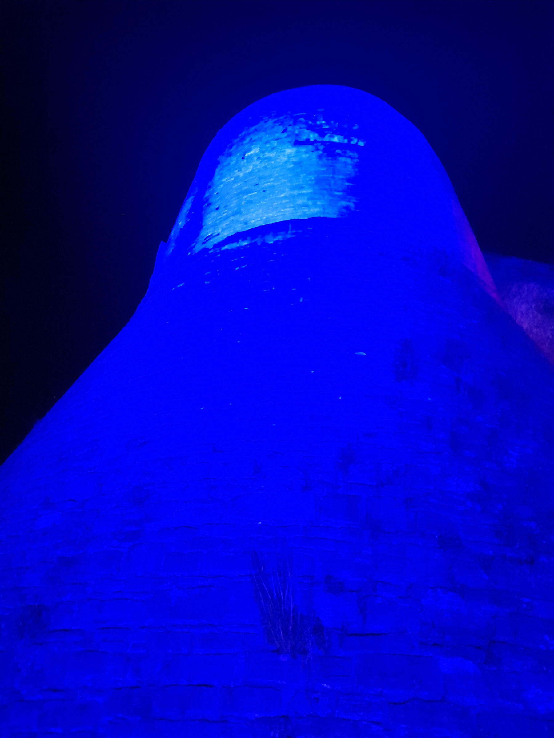 È  SI LA MIA bergamo