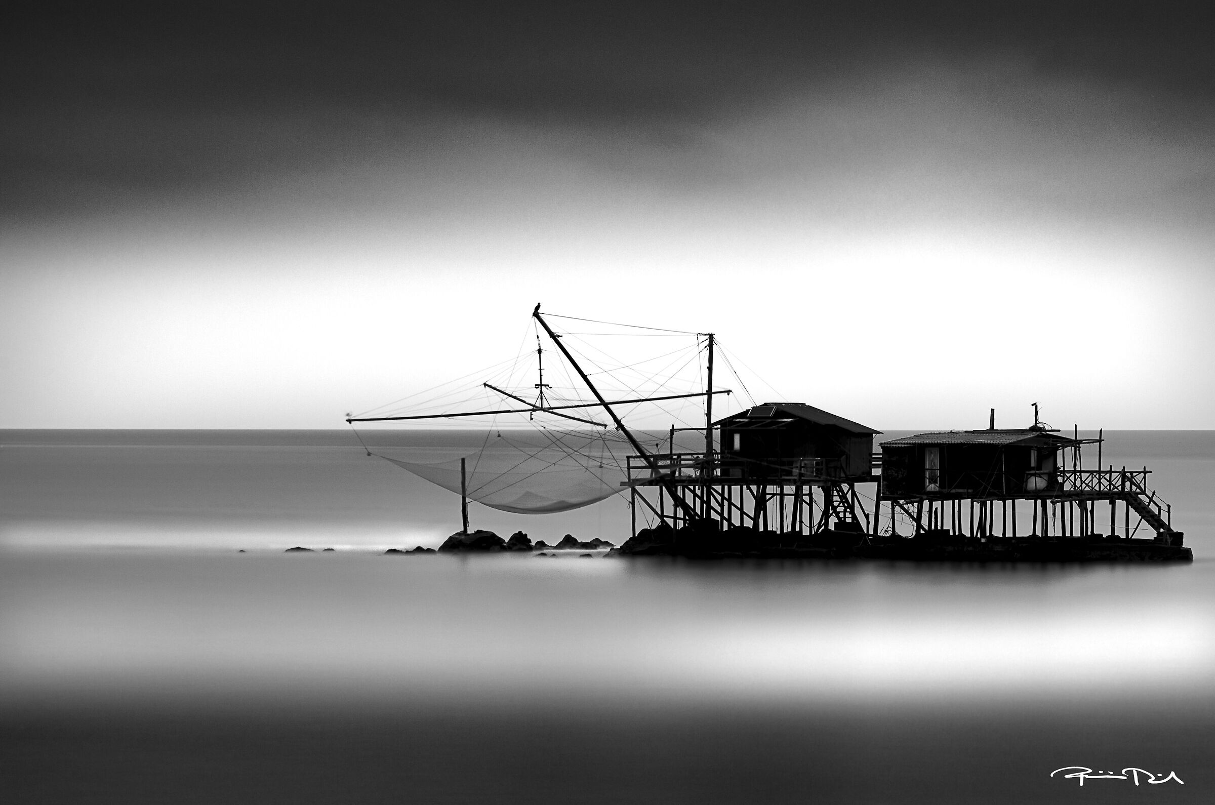 Untitled Photo