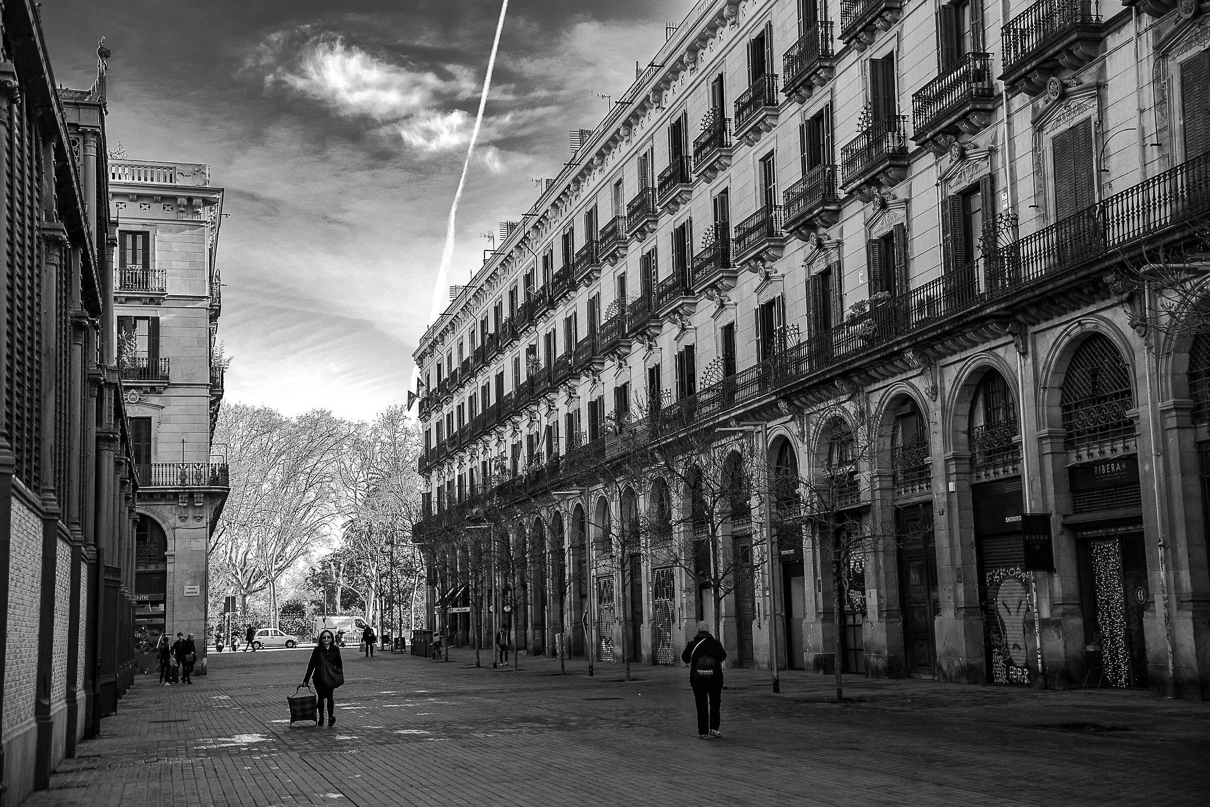 The Palace