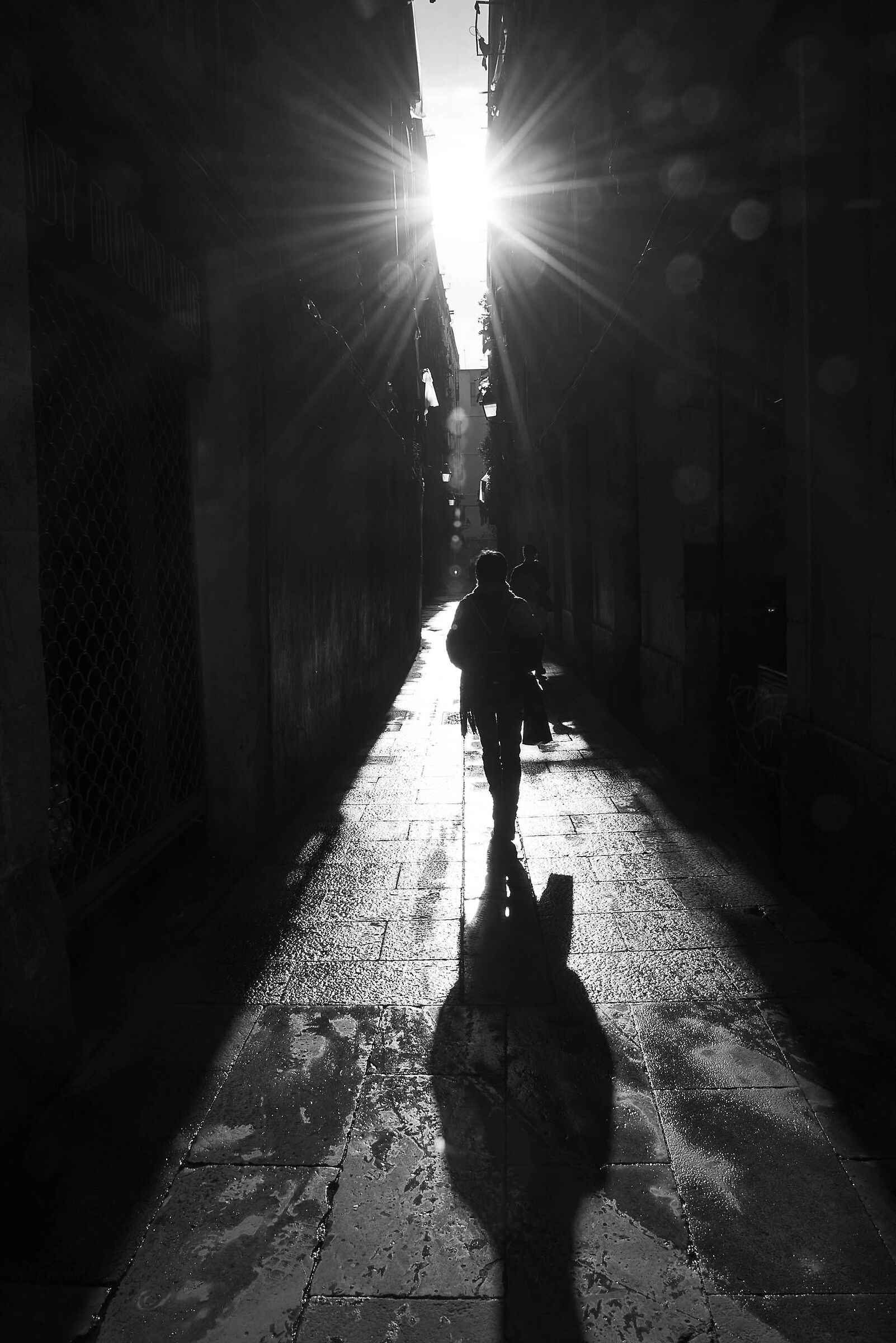 In the Sun