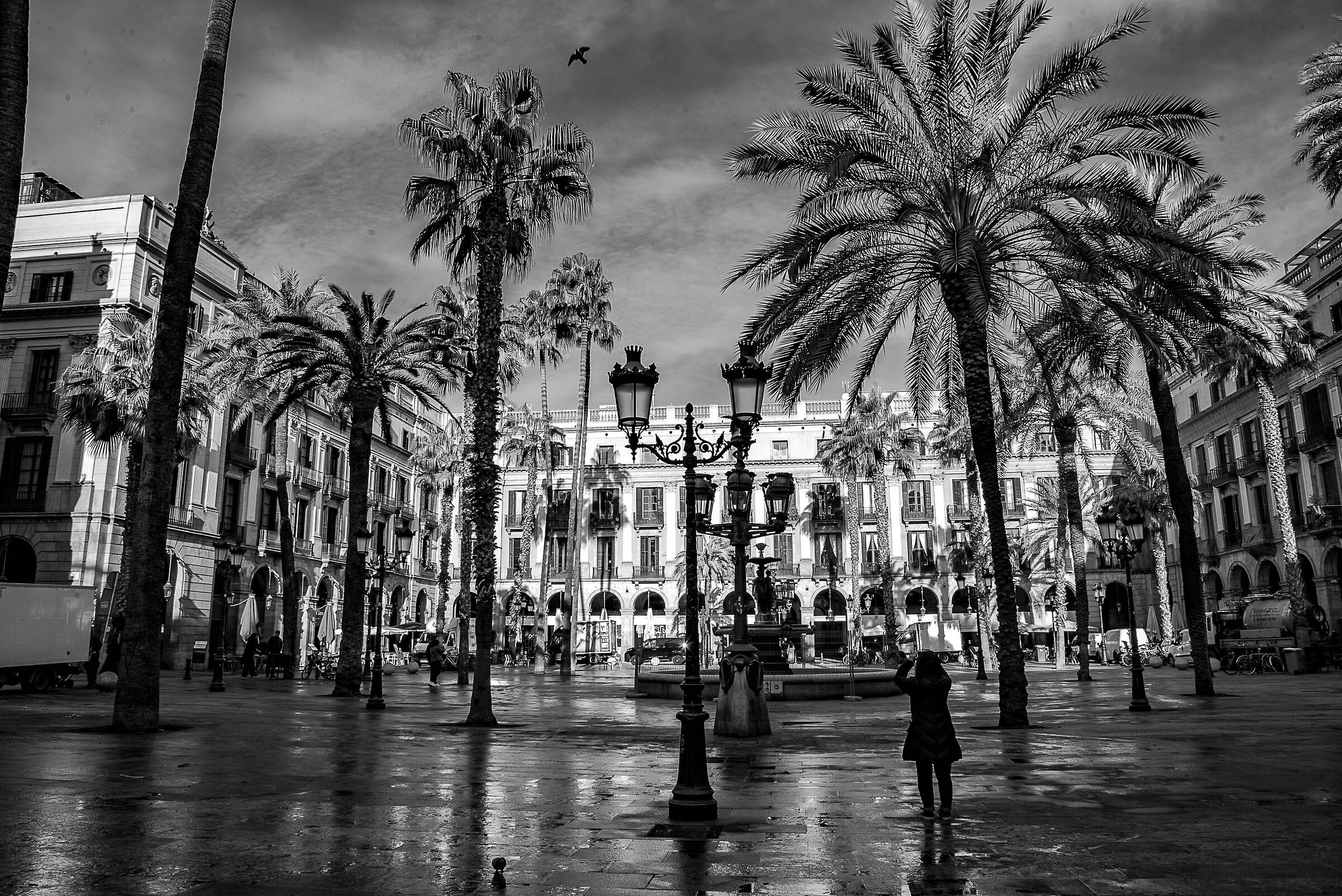 Plaza Real