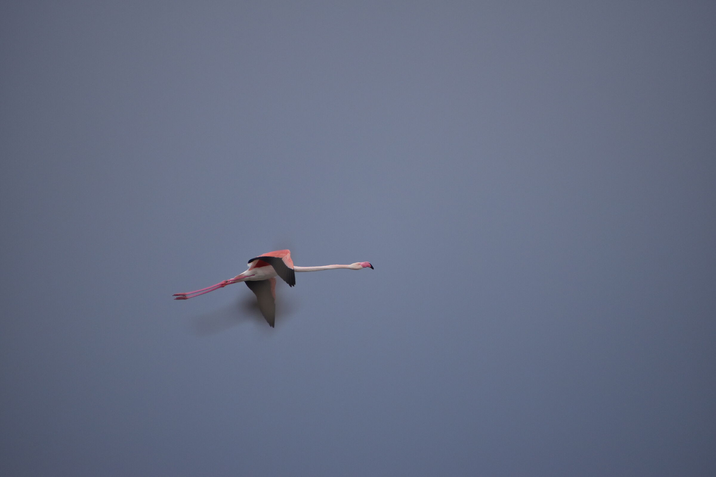 " Ho rotto uno dei motori"