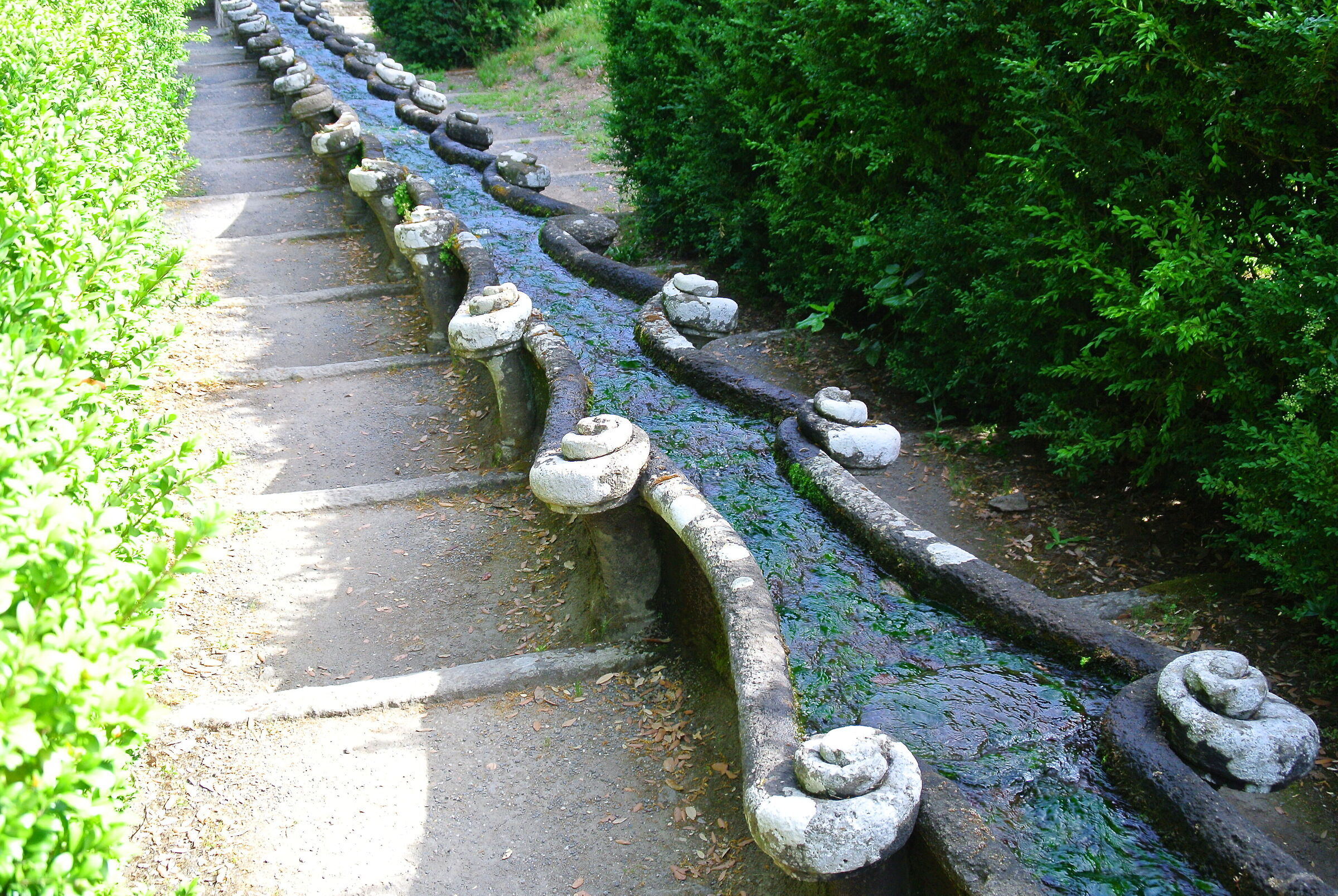 chiare fresche e limpide acque