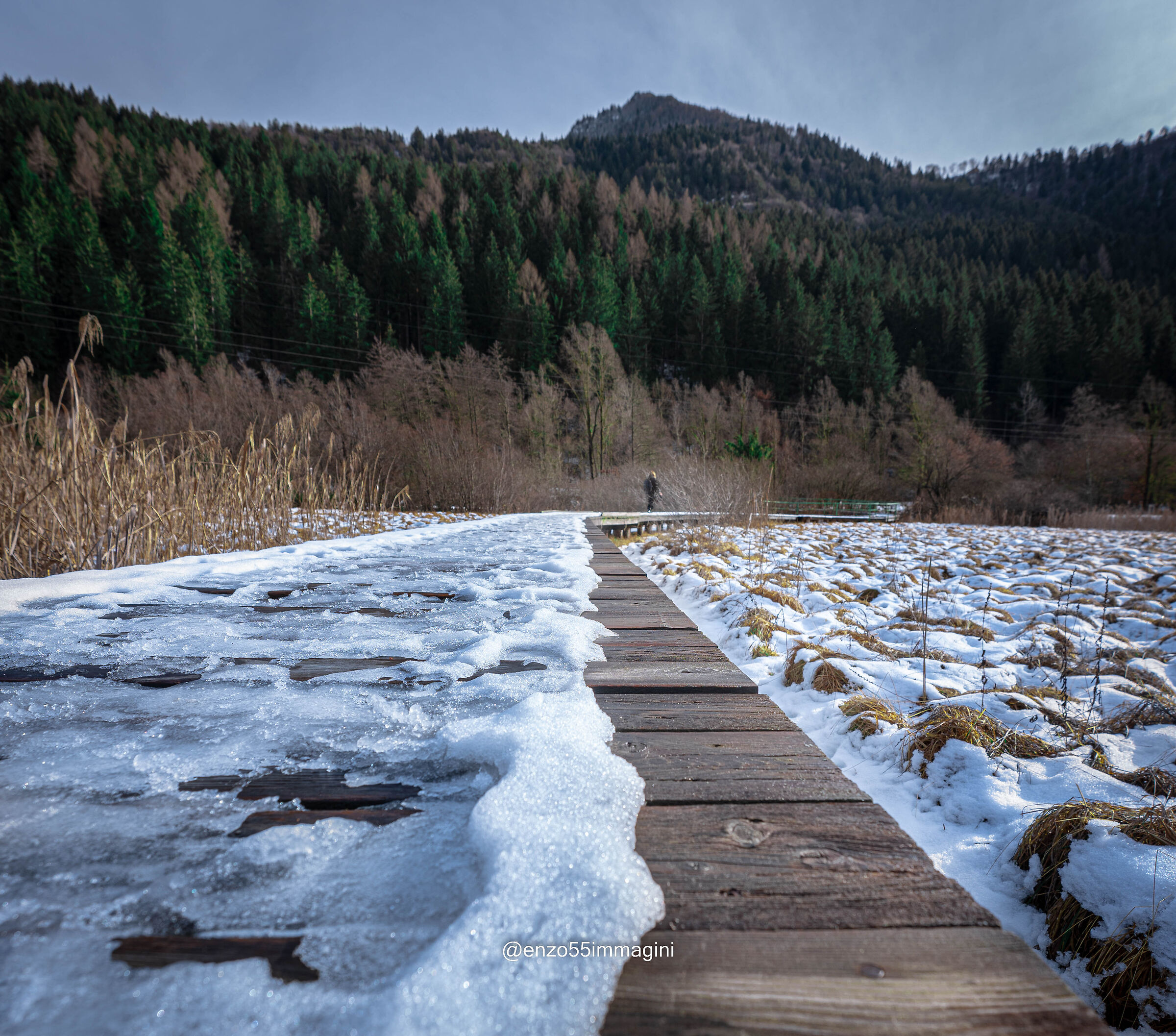 Biotope of Lake Ampola