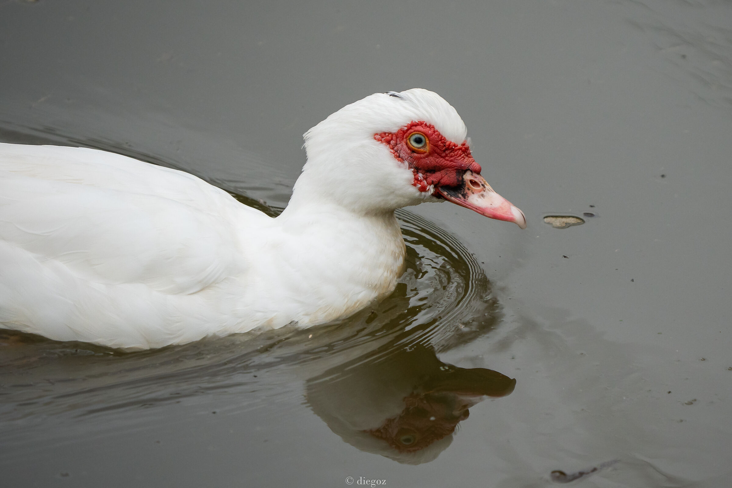 Untitled Photo